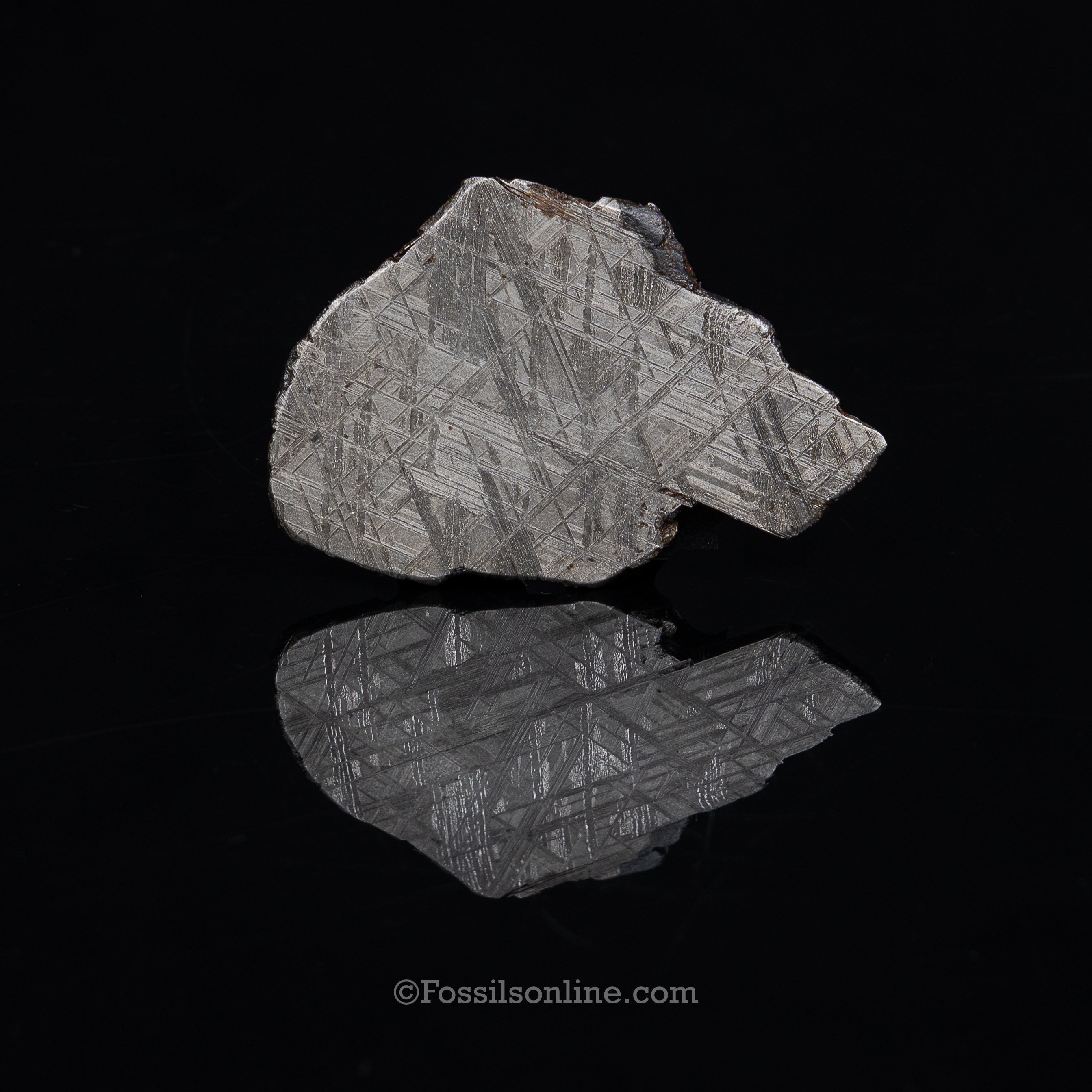 Muonionalusta Meteorite Slice 71.5gr
