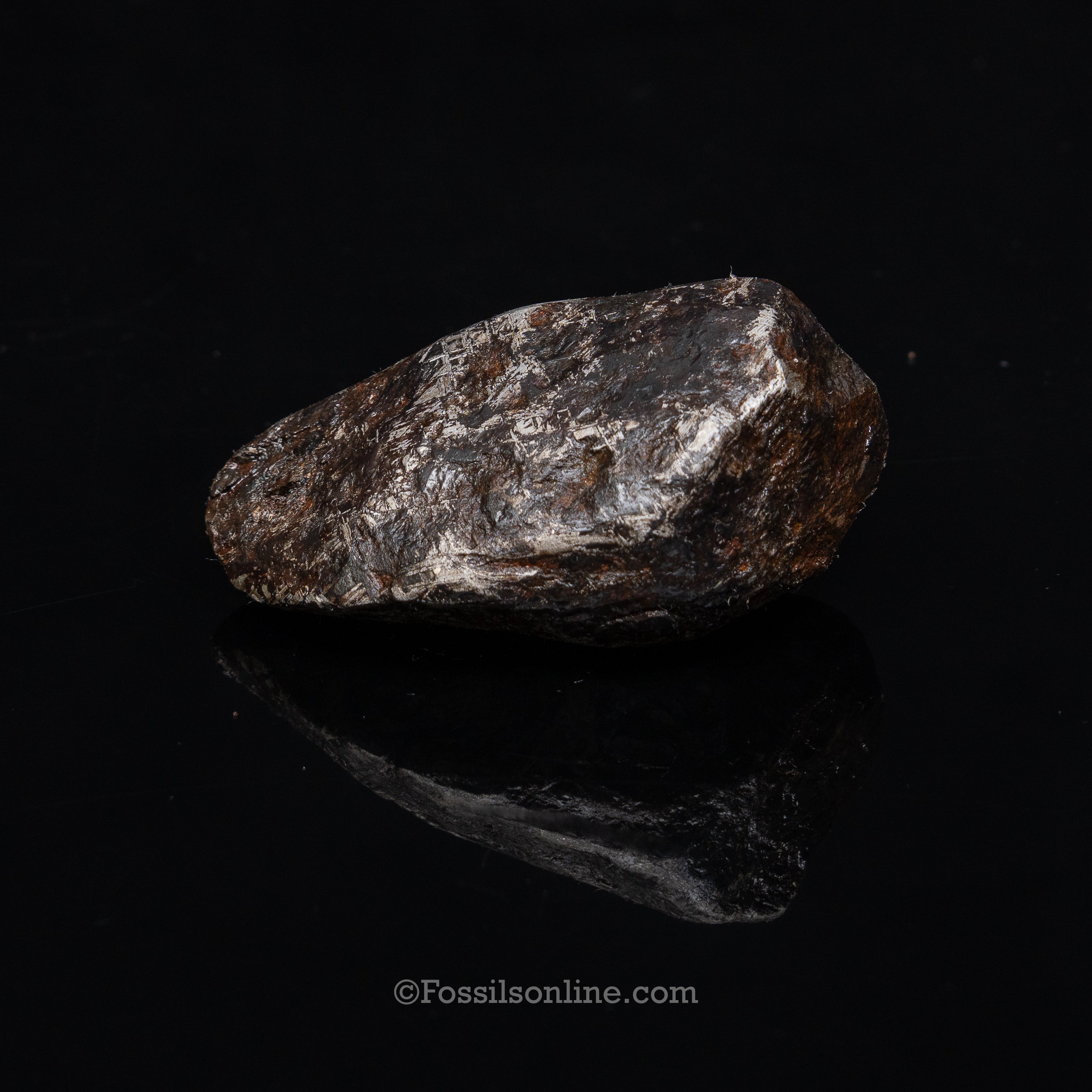 Muonionalusta Meteorite End cut 720gr