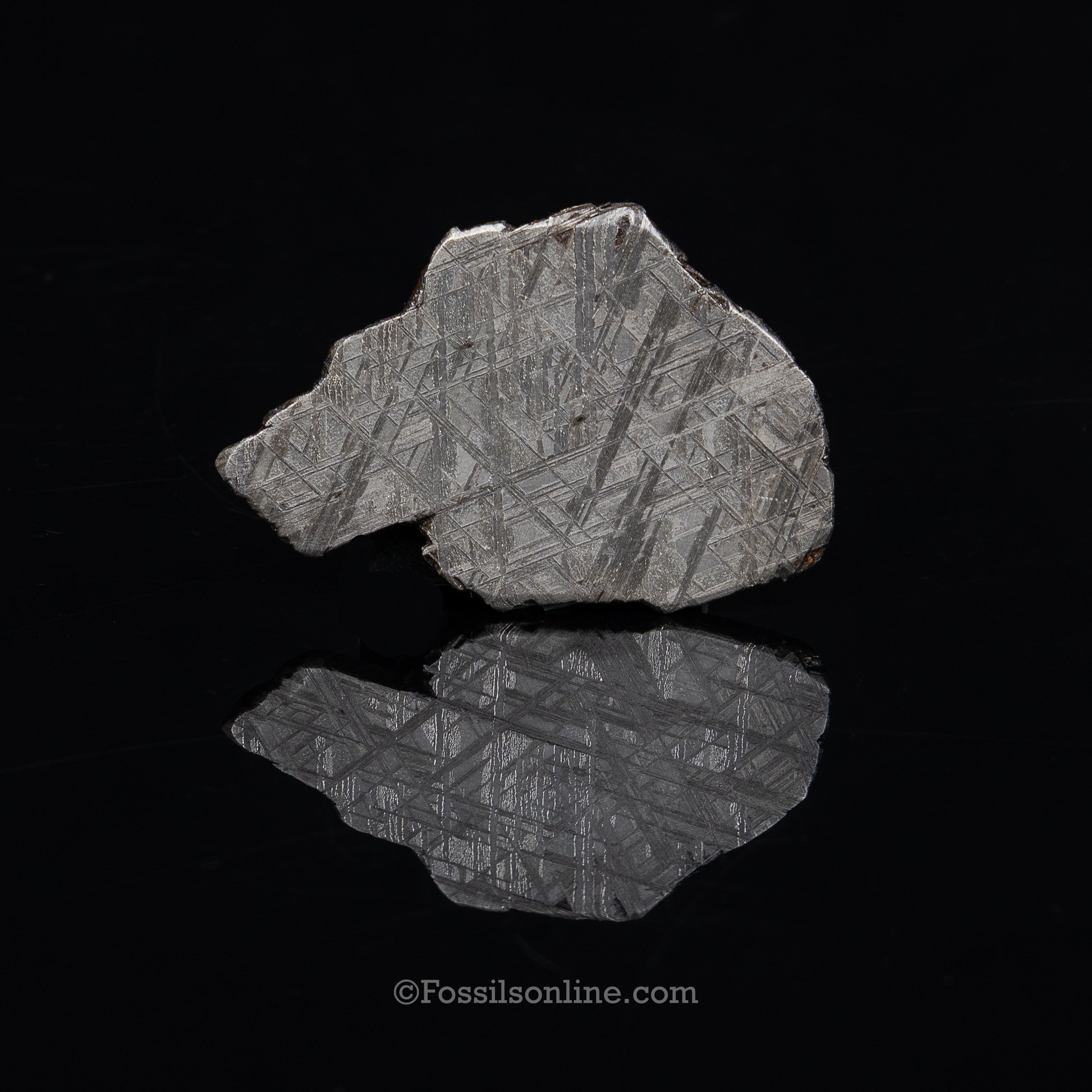 Muonionalusta Meteorite Slice 71.5gr