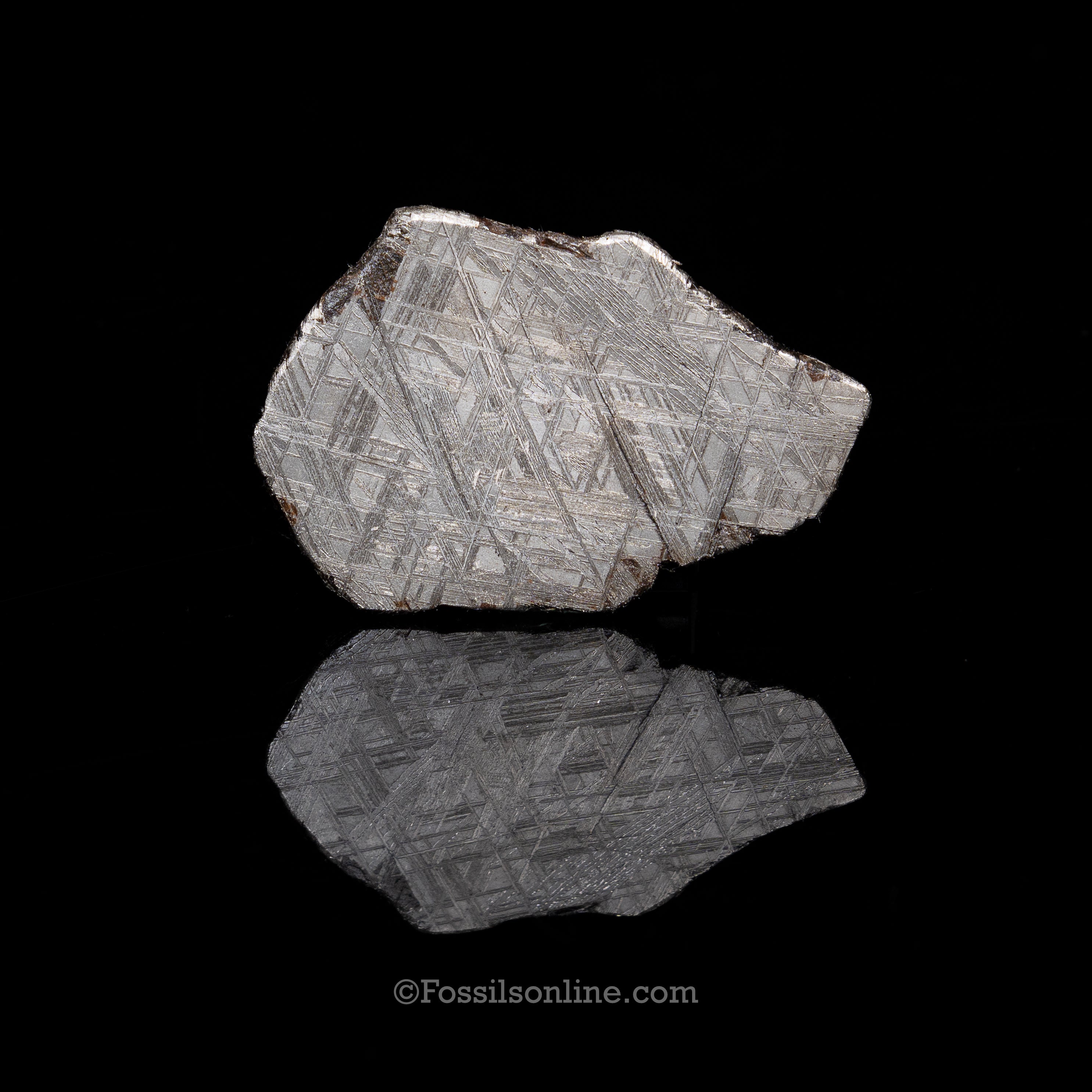 Muonionalusta Meteorite Slice 93gr