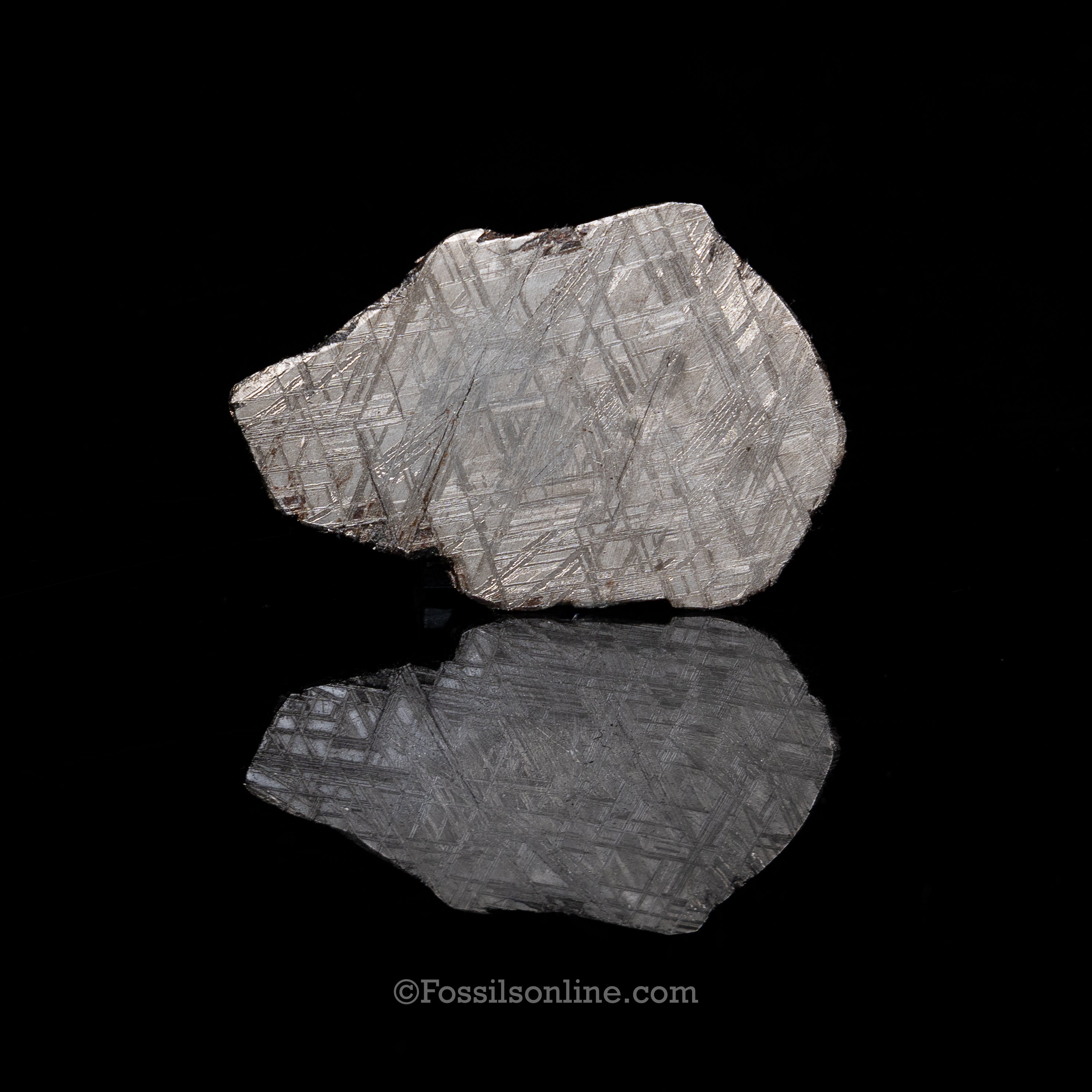 Muonionalusta Meteorite Slice 93gr