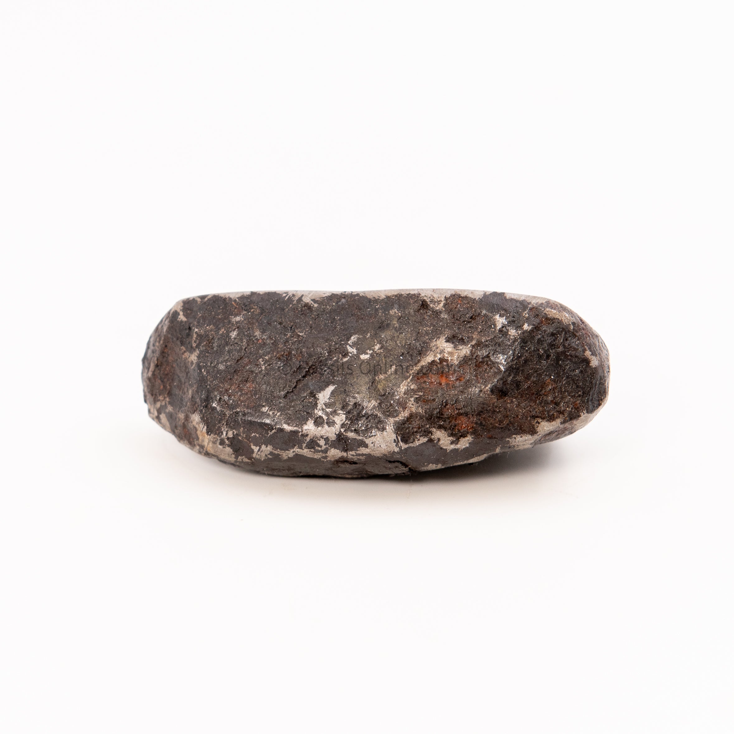 Muonionalusta Meteorite End Cut 347gr