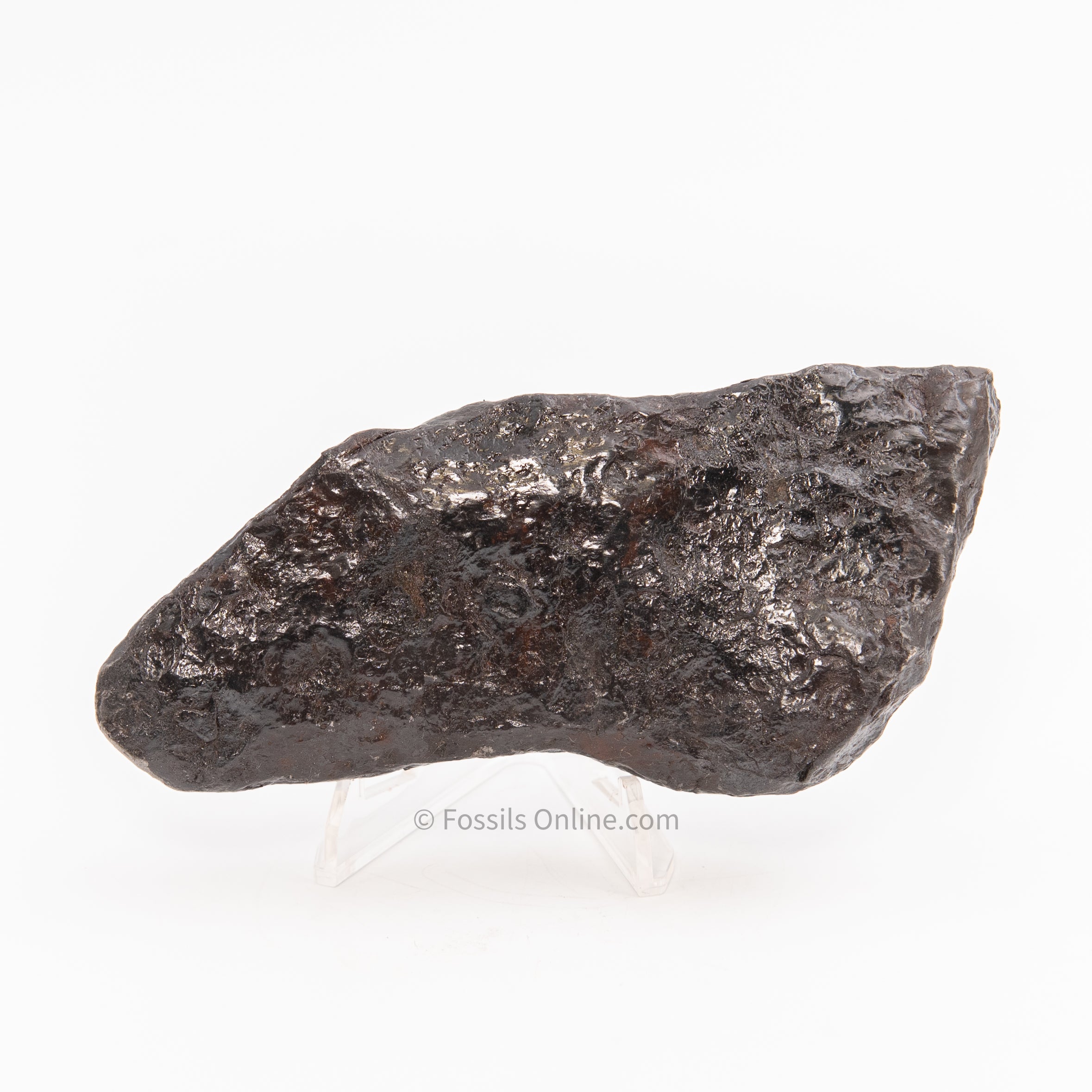 Muonionalusta Meteorite 1054gr