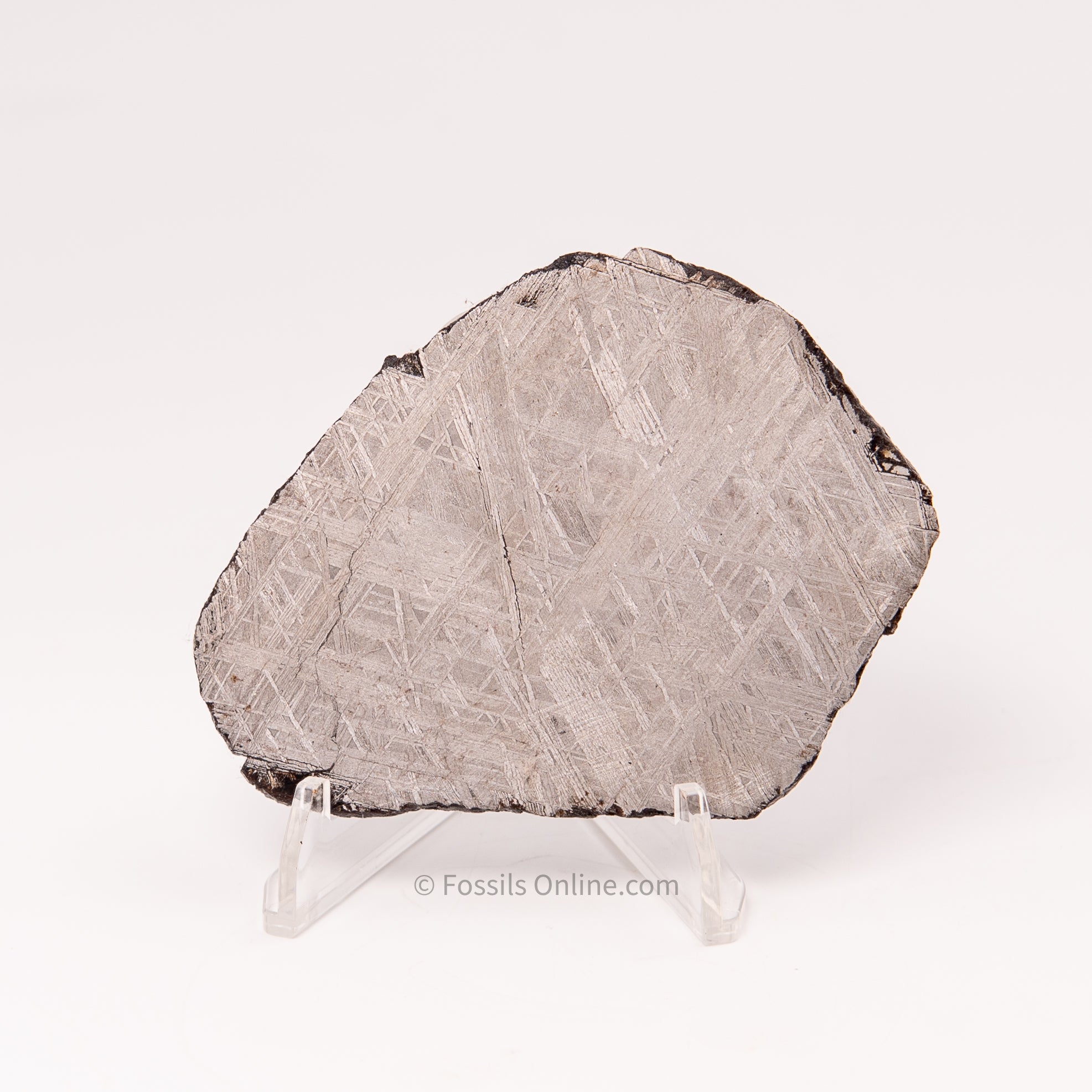 Muonionalusta Meteorite Slice 139gr