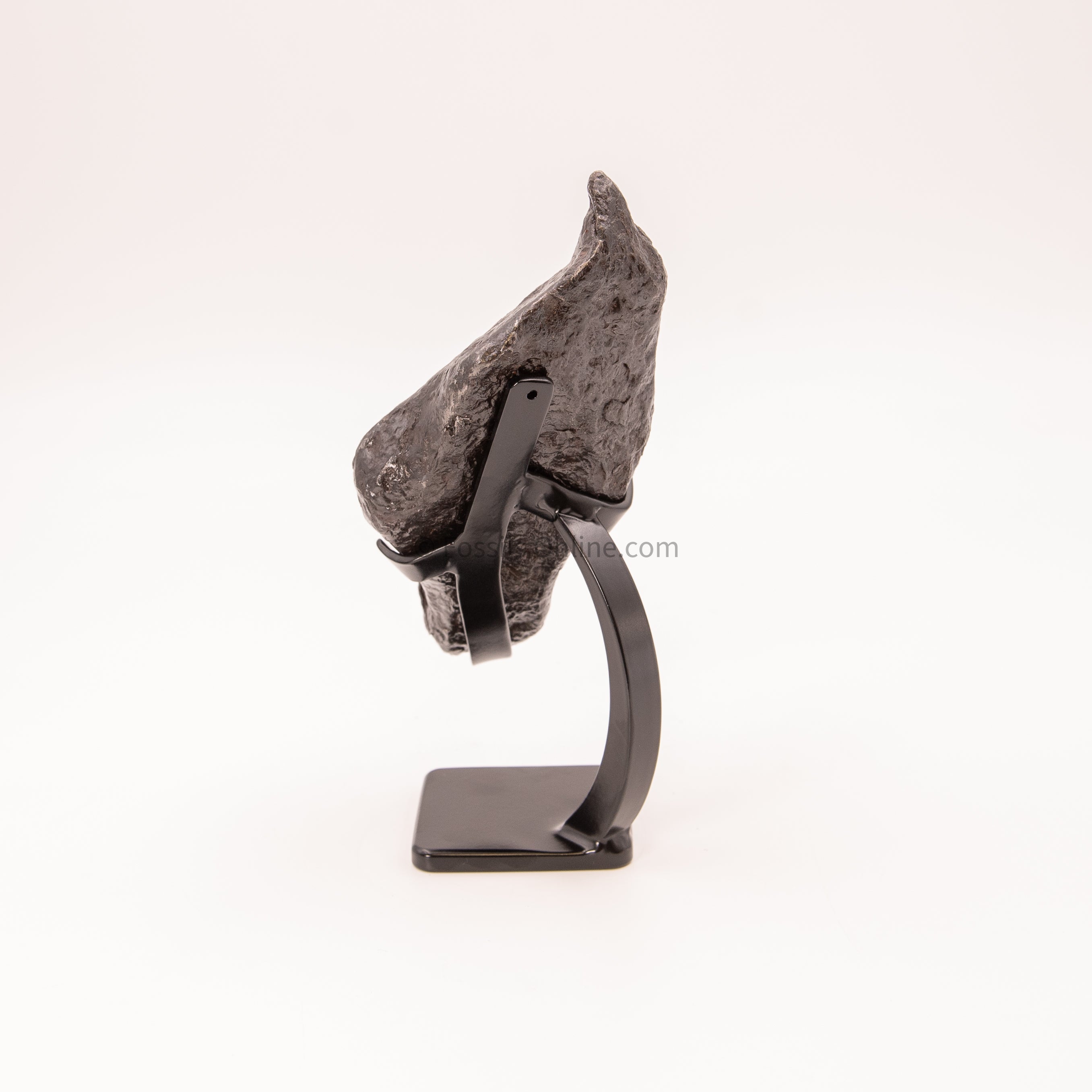 Muonionalusta Meteorite 2065g