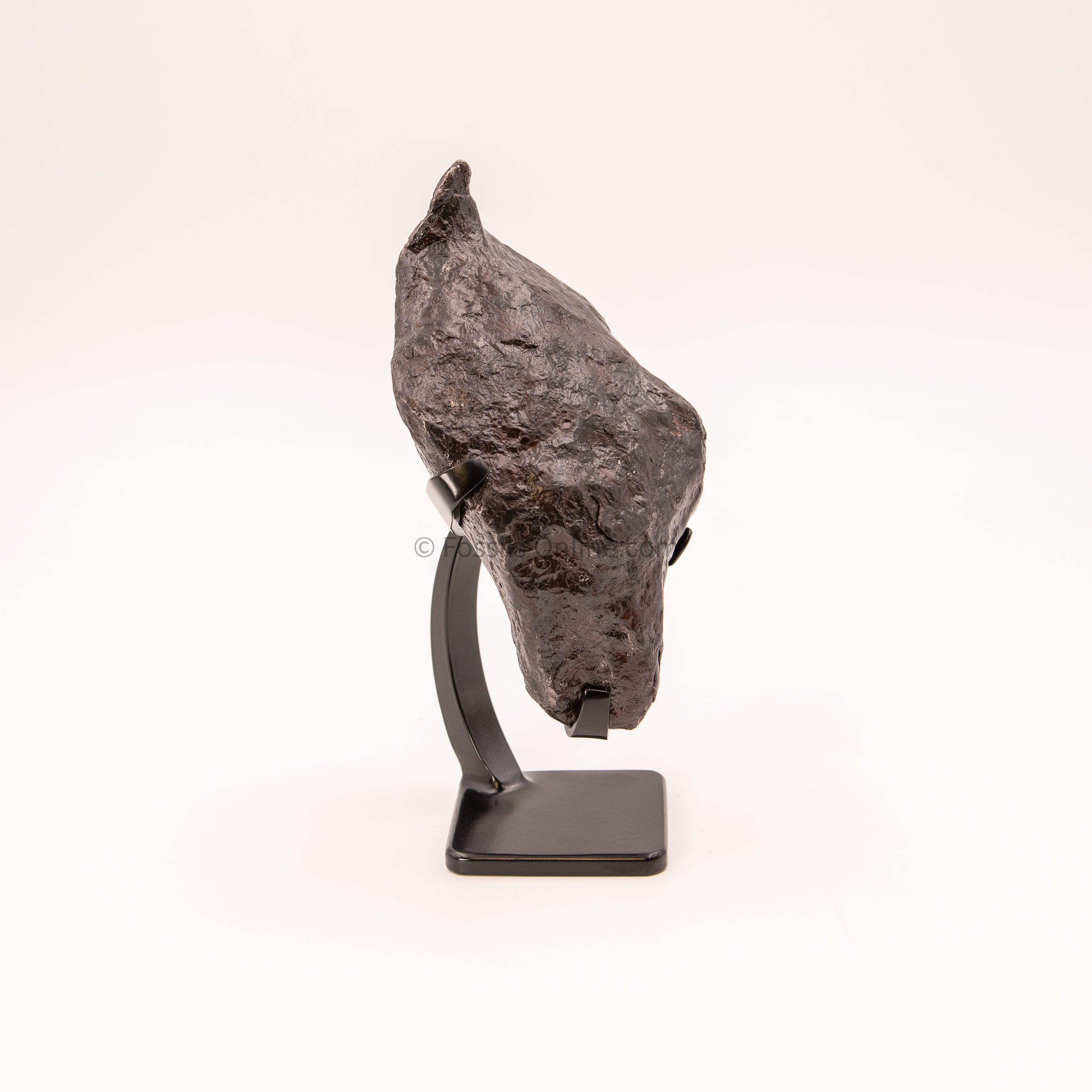 Muonionalusta Meteorite 2065g