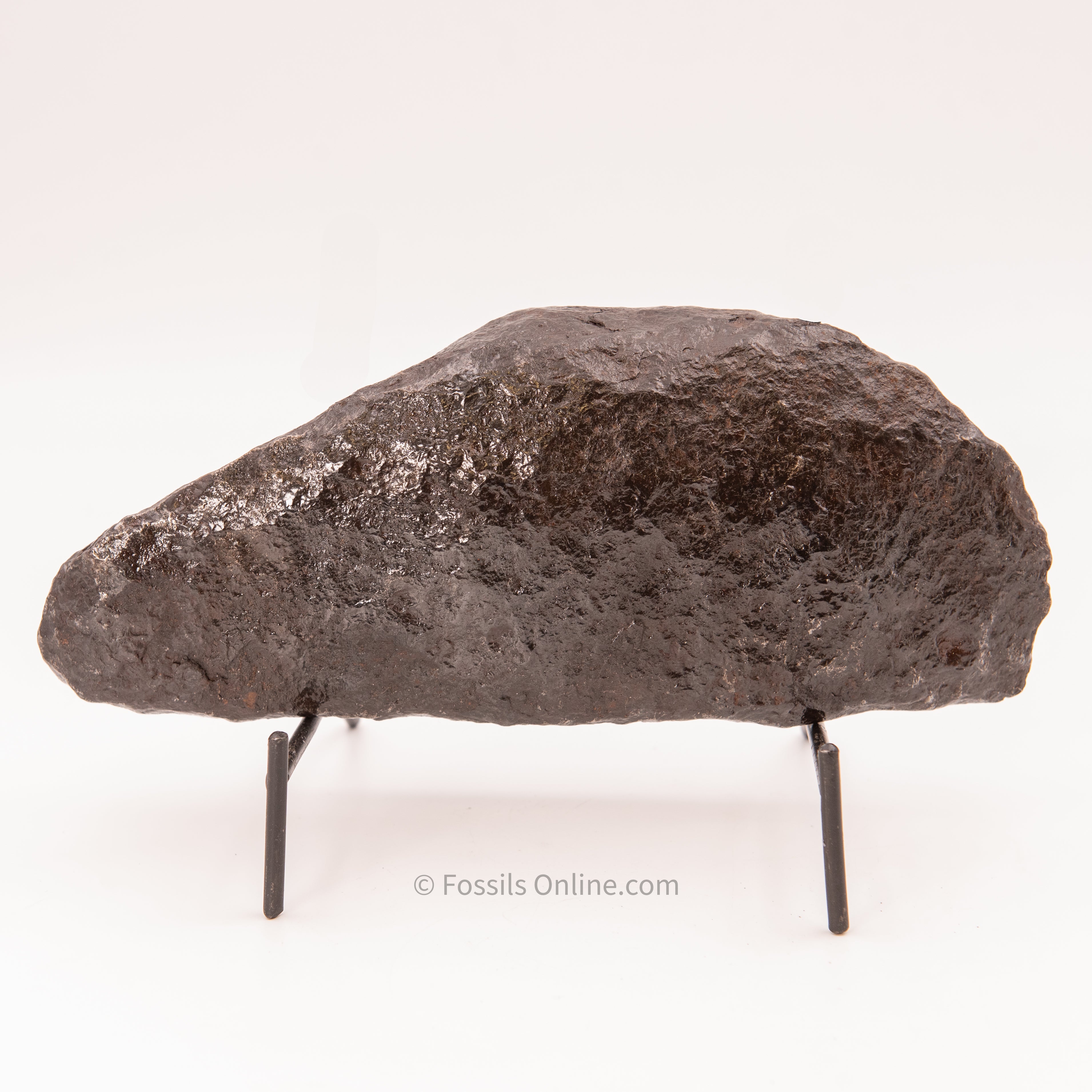 Muonionalusta Meteorite 3815g