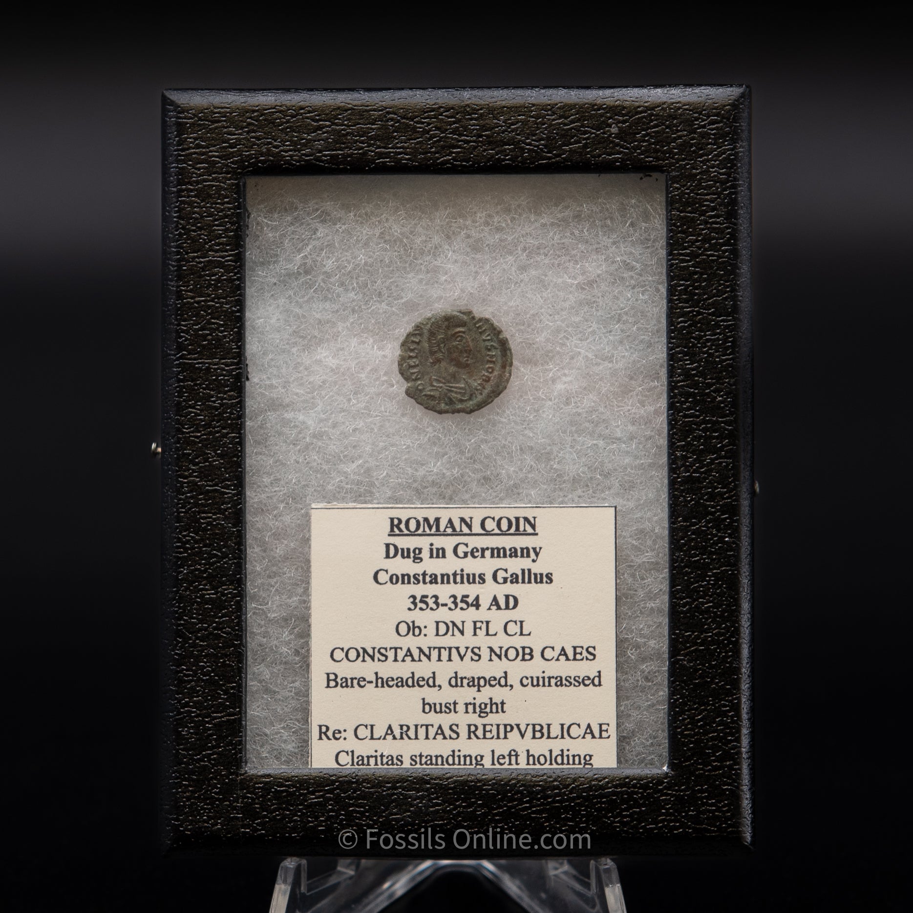 Roman Coin