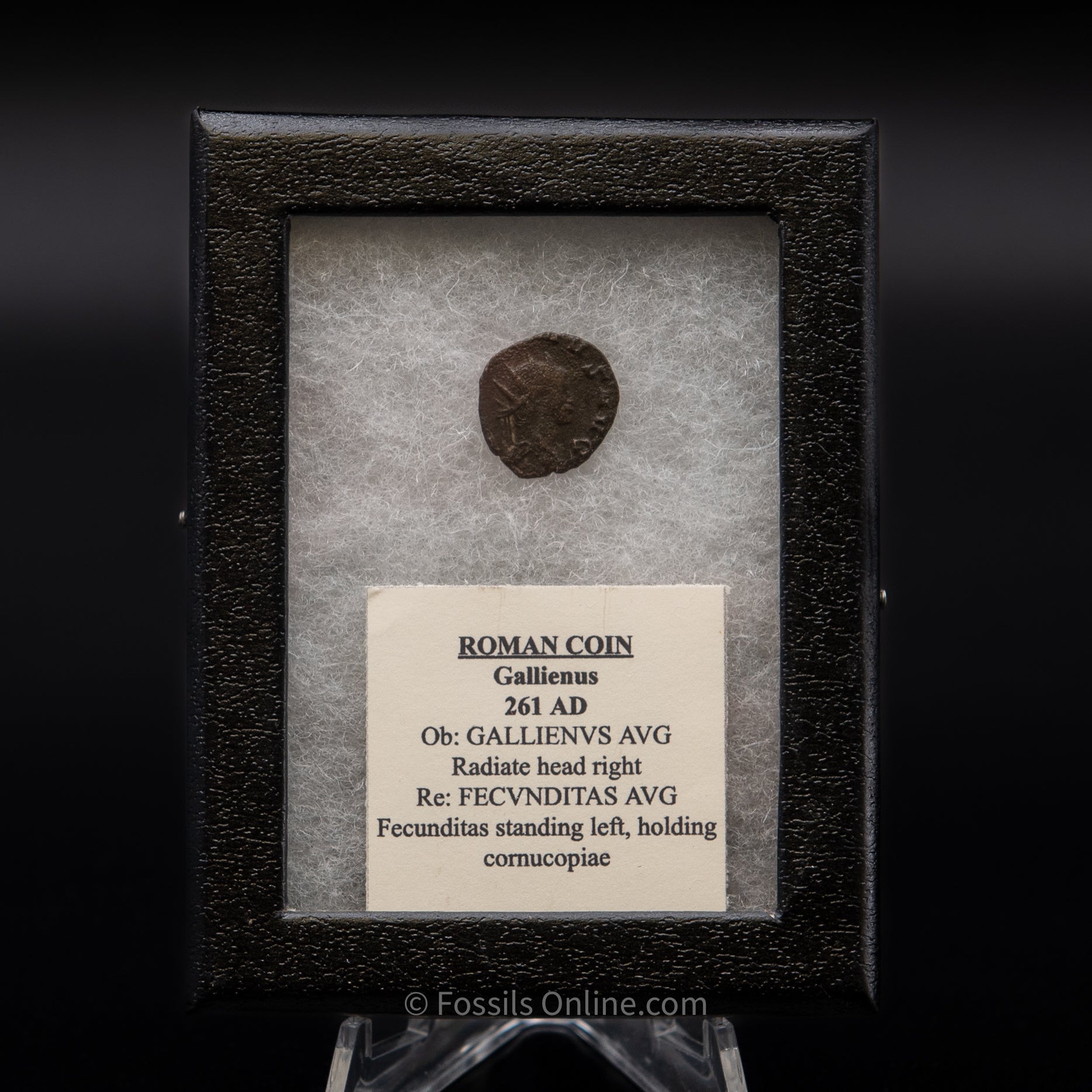 Roman Coin