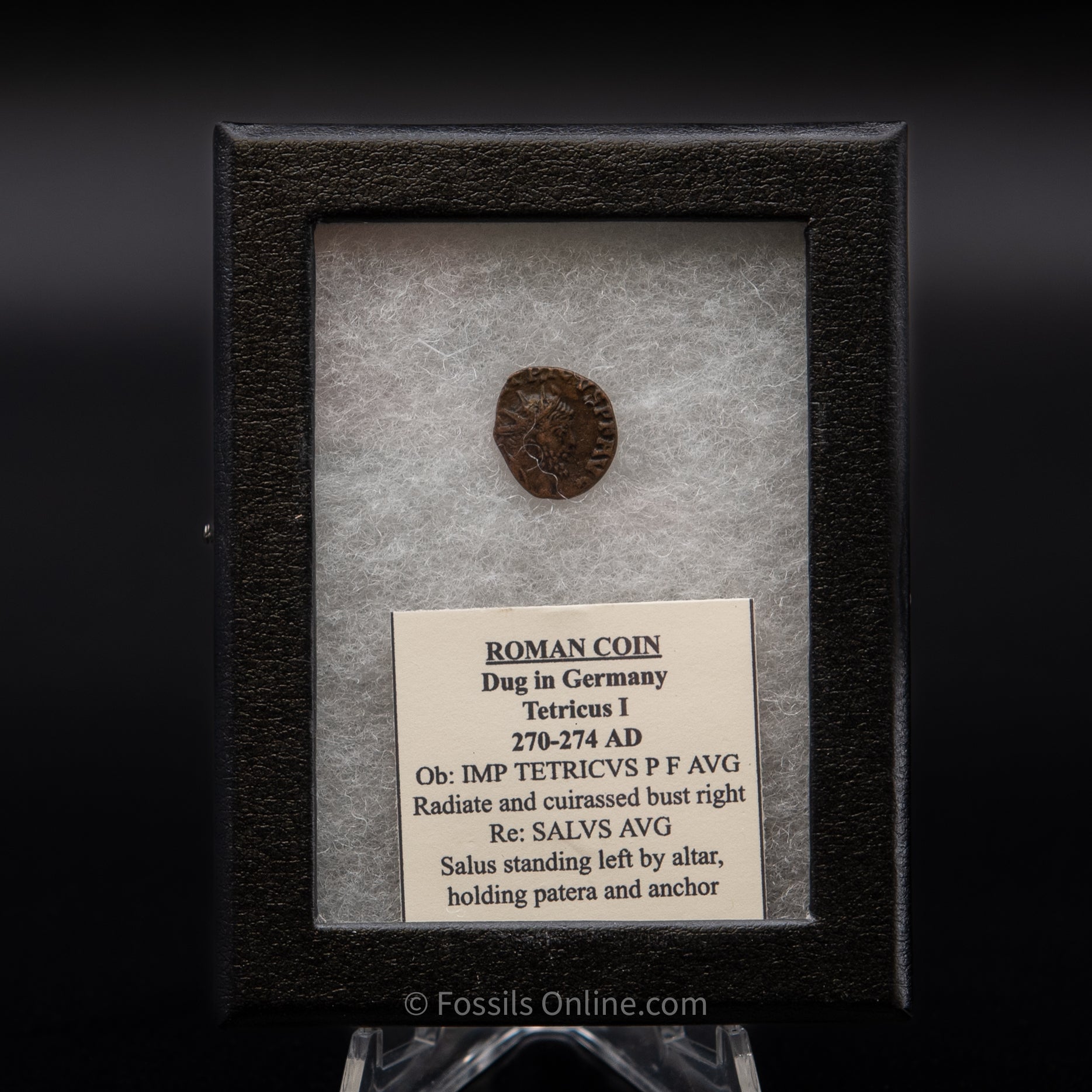 Roman Coin