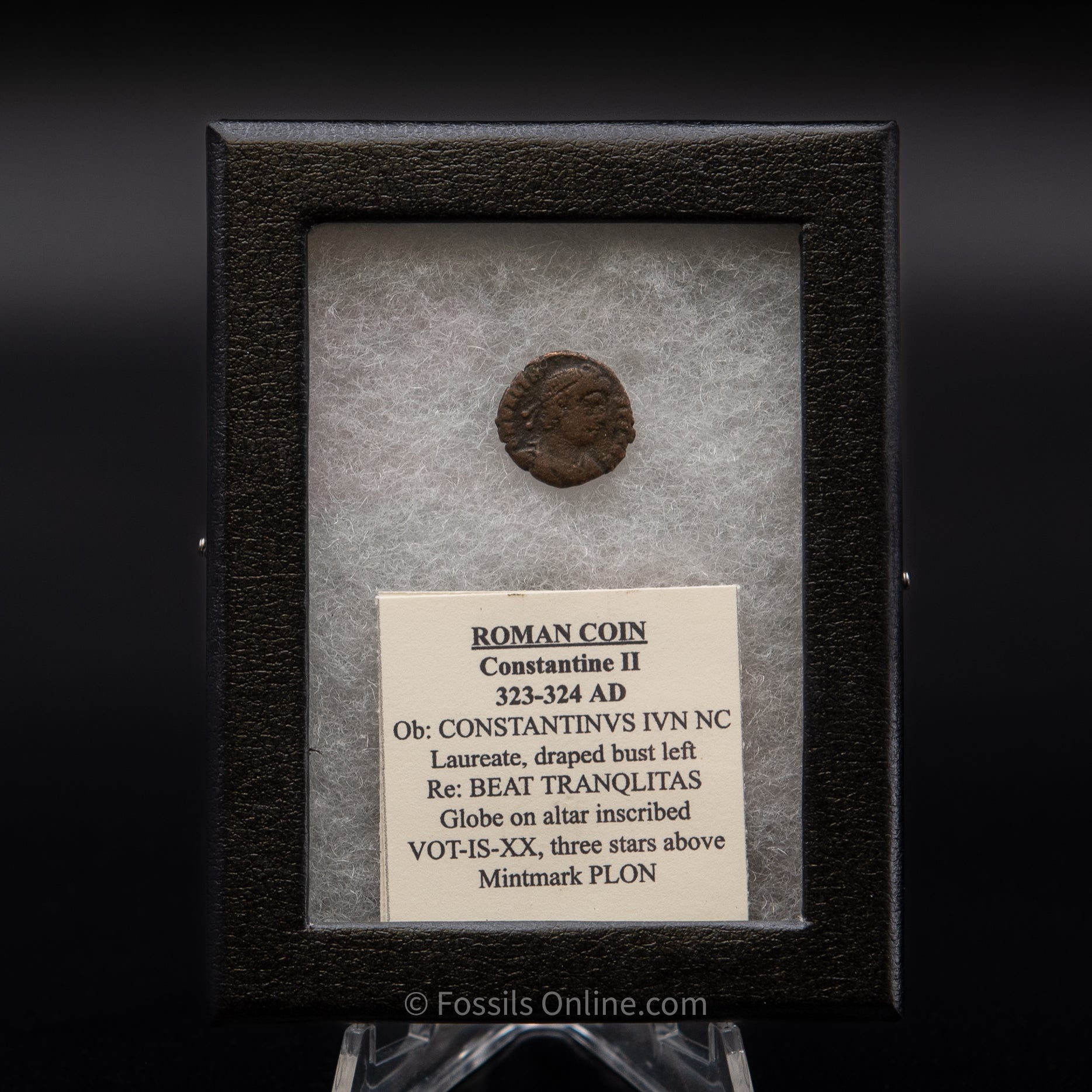 Roman Coin