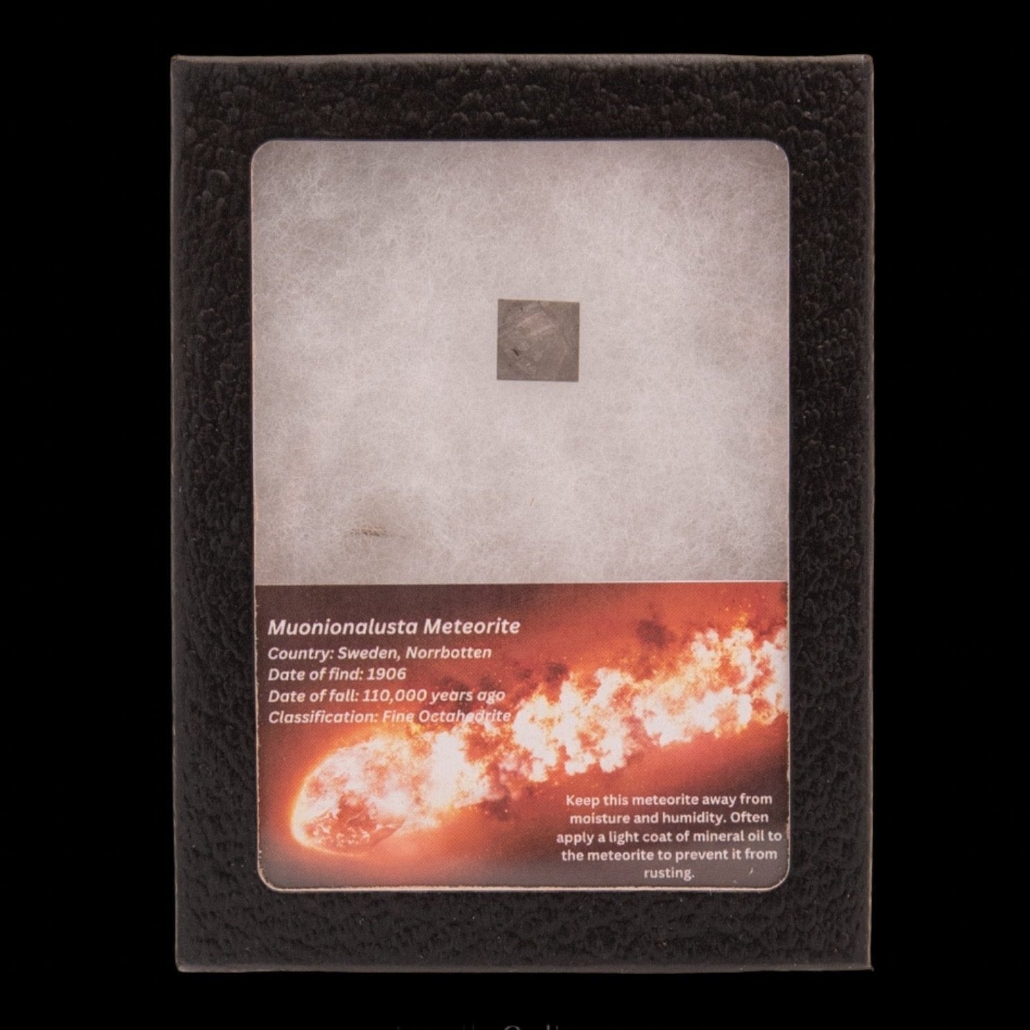 Muonionalusta Meteorite