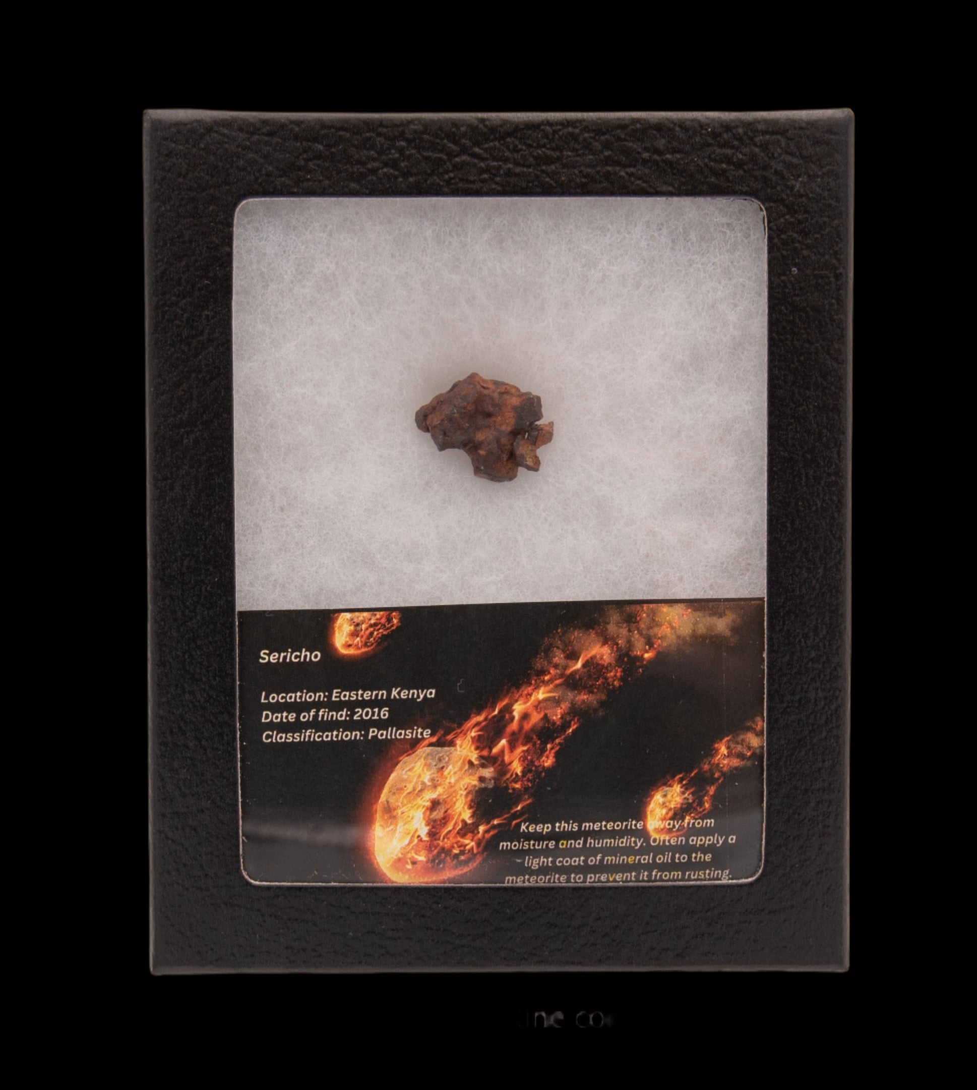 Sericho Meteorite