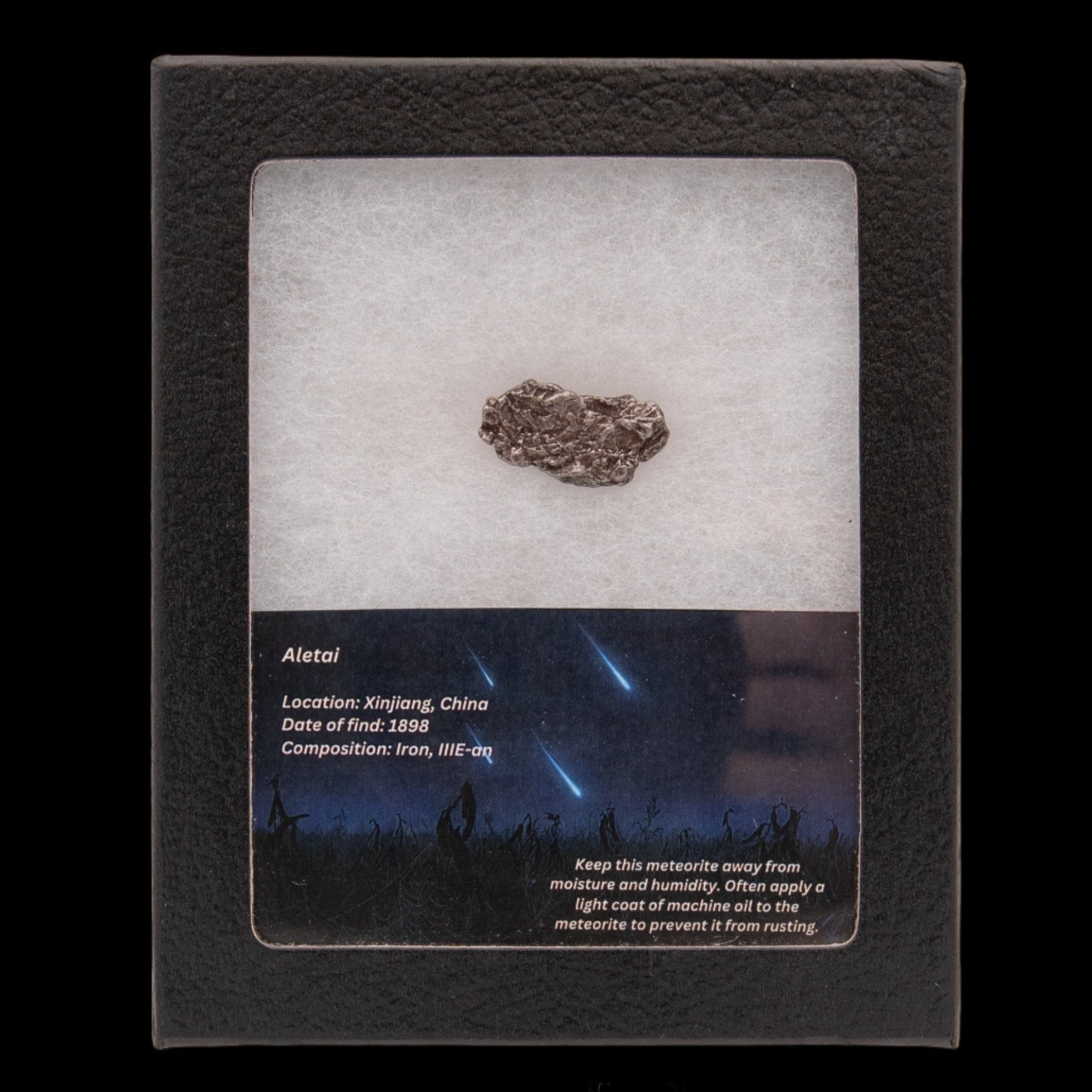 Aletai Meteorite
