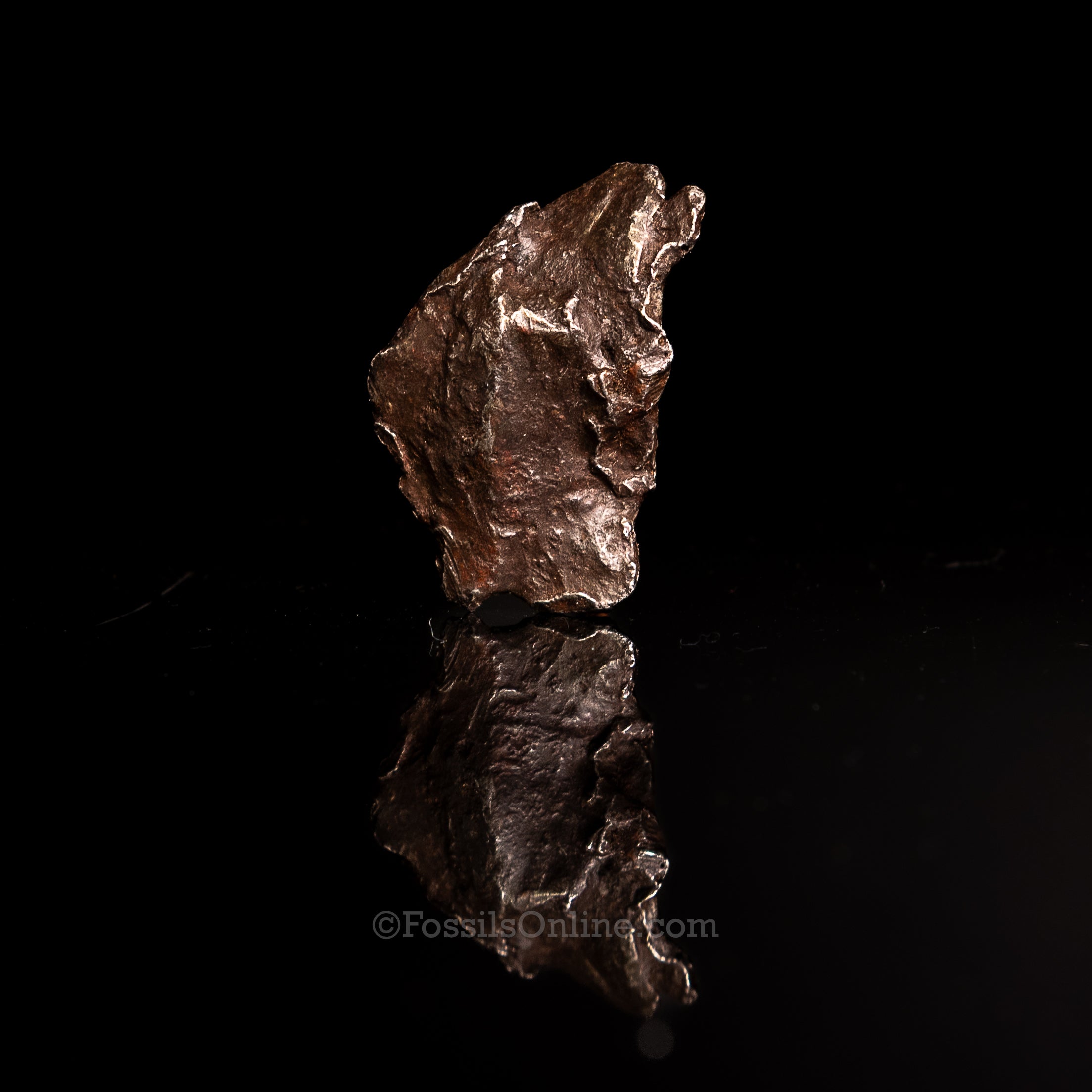Genuine Sikhote-Alin Meteorite in Glass Dome