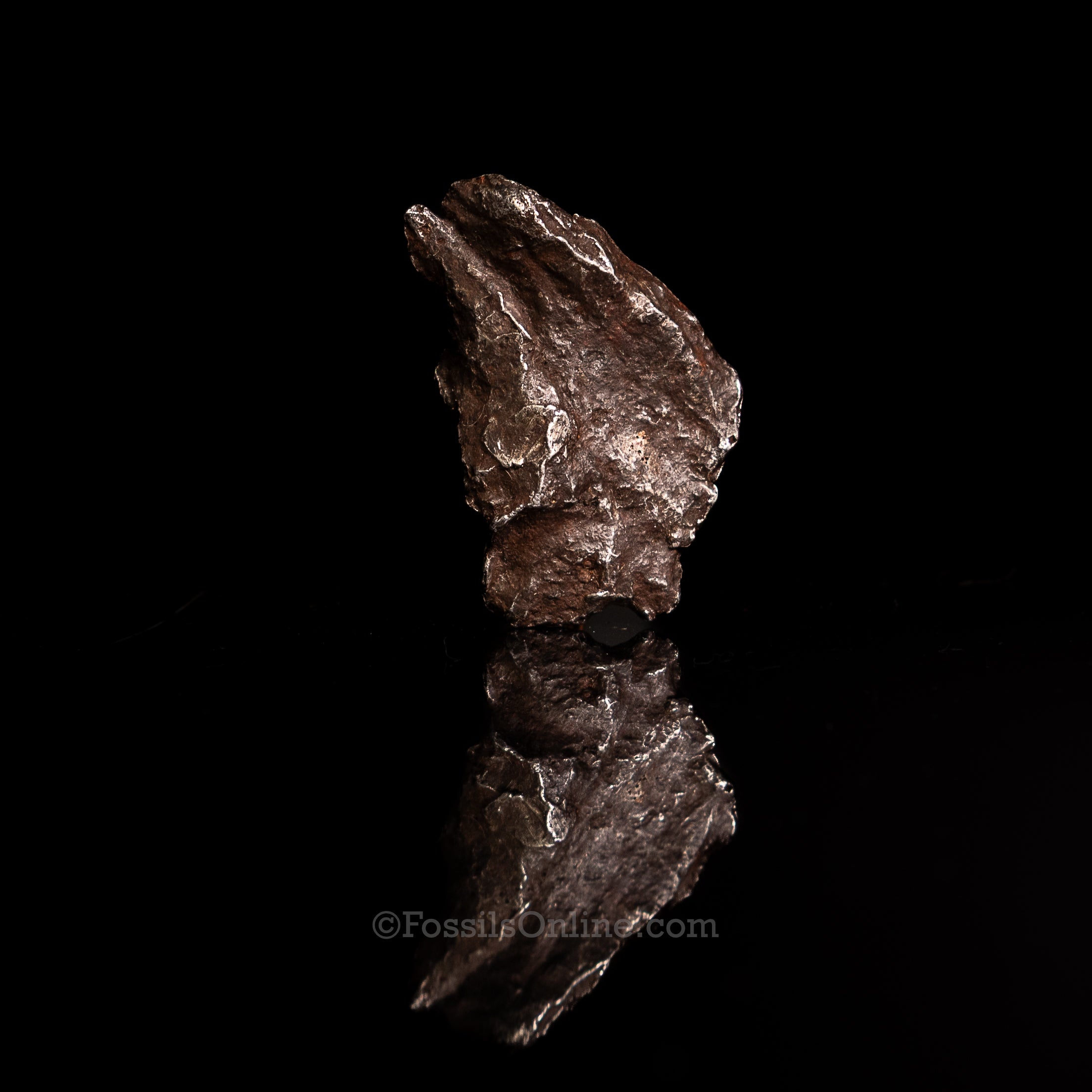 Genuine Sikhote-Alin Meteorite in Glass Dome