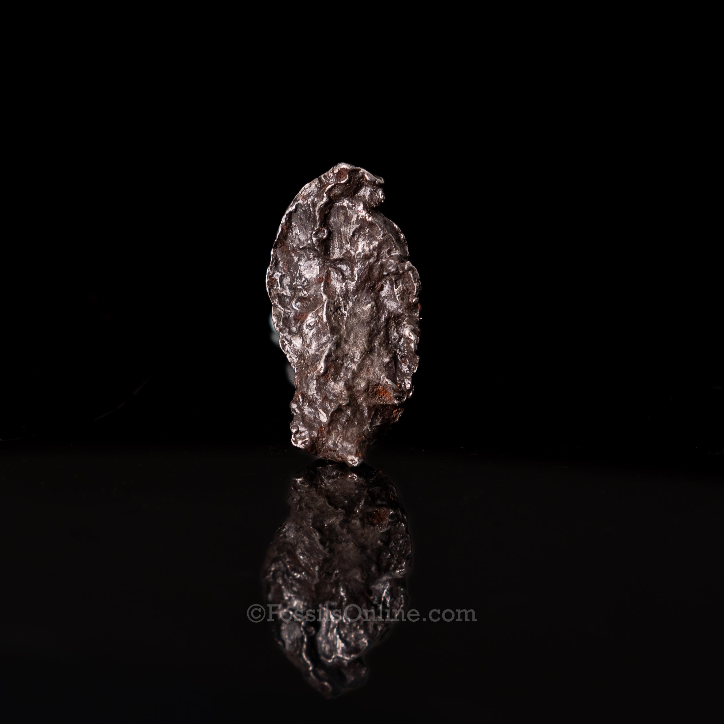Genuine Sikhote-Alin Meteorite in Glass Dome