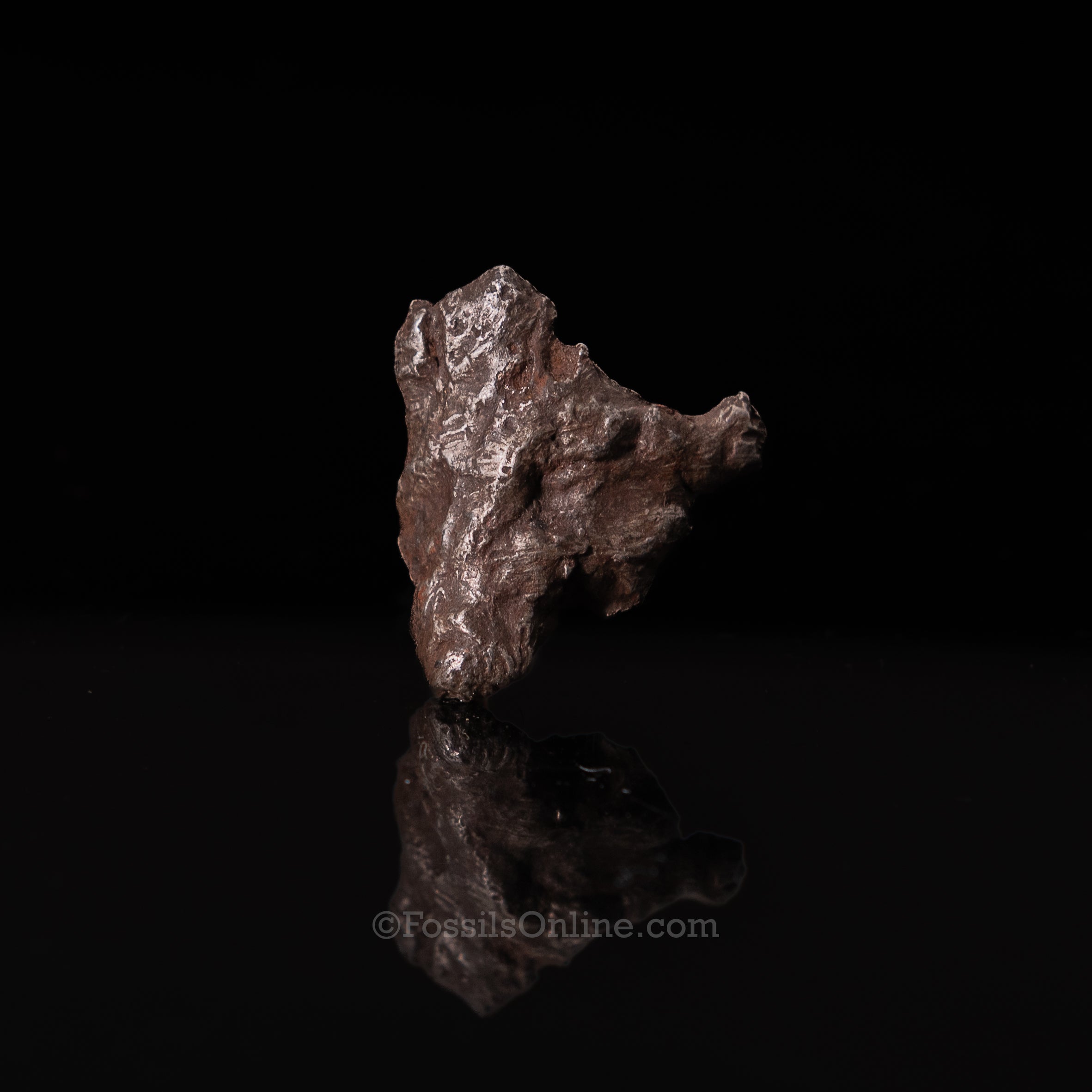 Genuine Sikhote-Alin Meteorite in Glass Dome