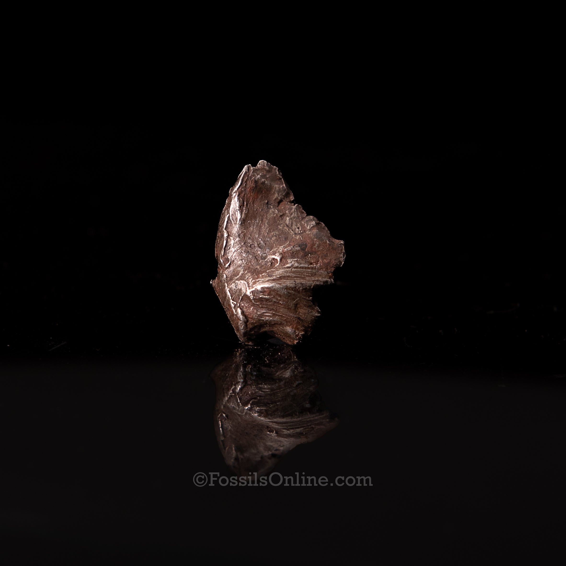 Genuine Sikhote-Alin Meteorite in Glass Dome