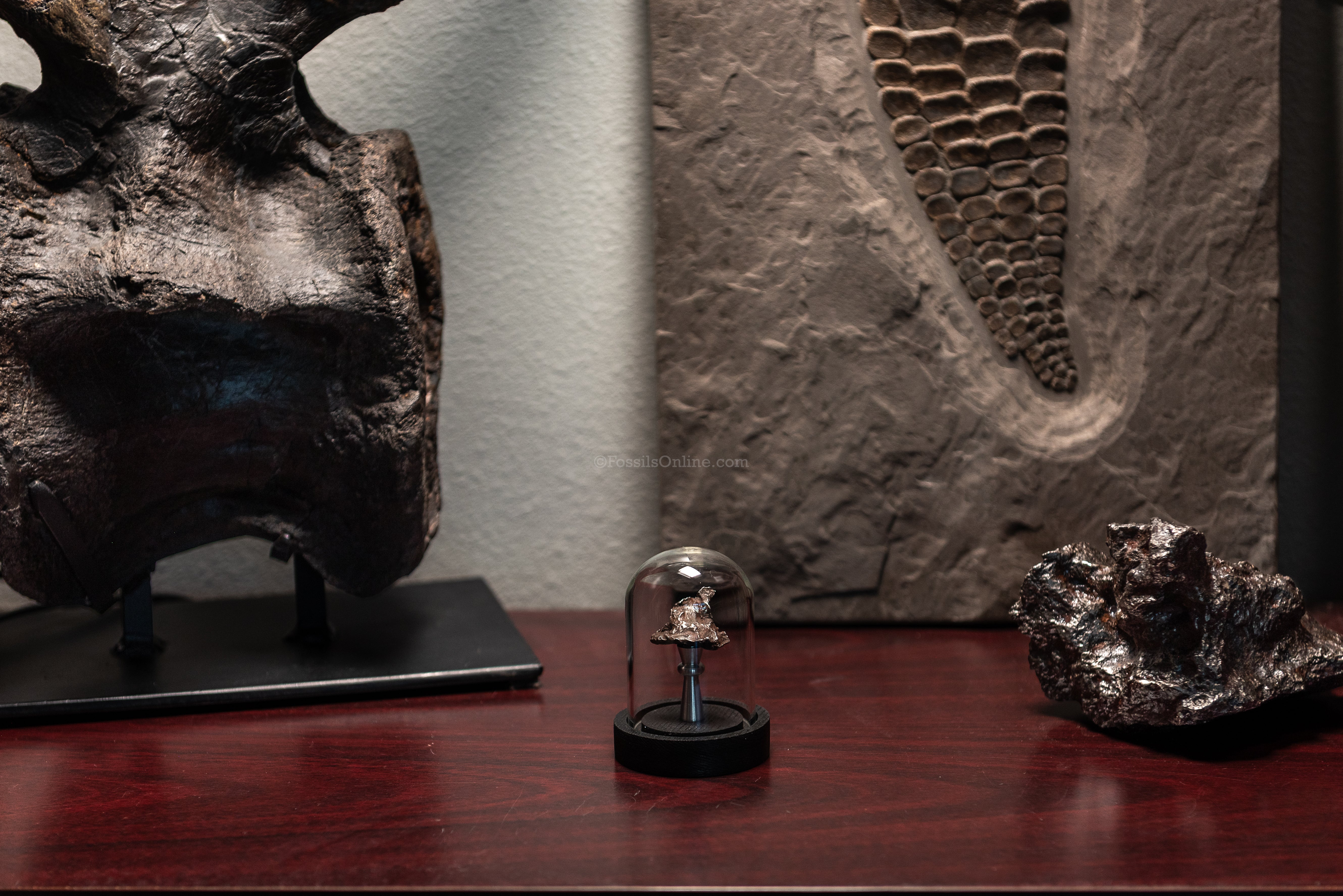 Genuine Sikhote-Alin Meteorite in Glass Dome