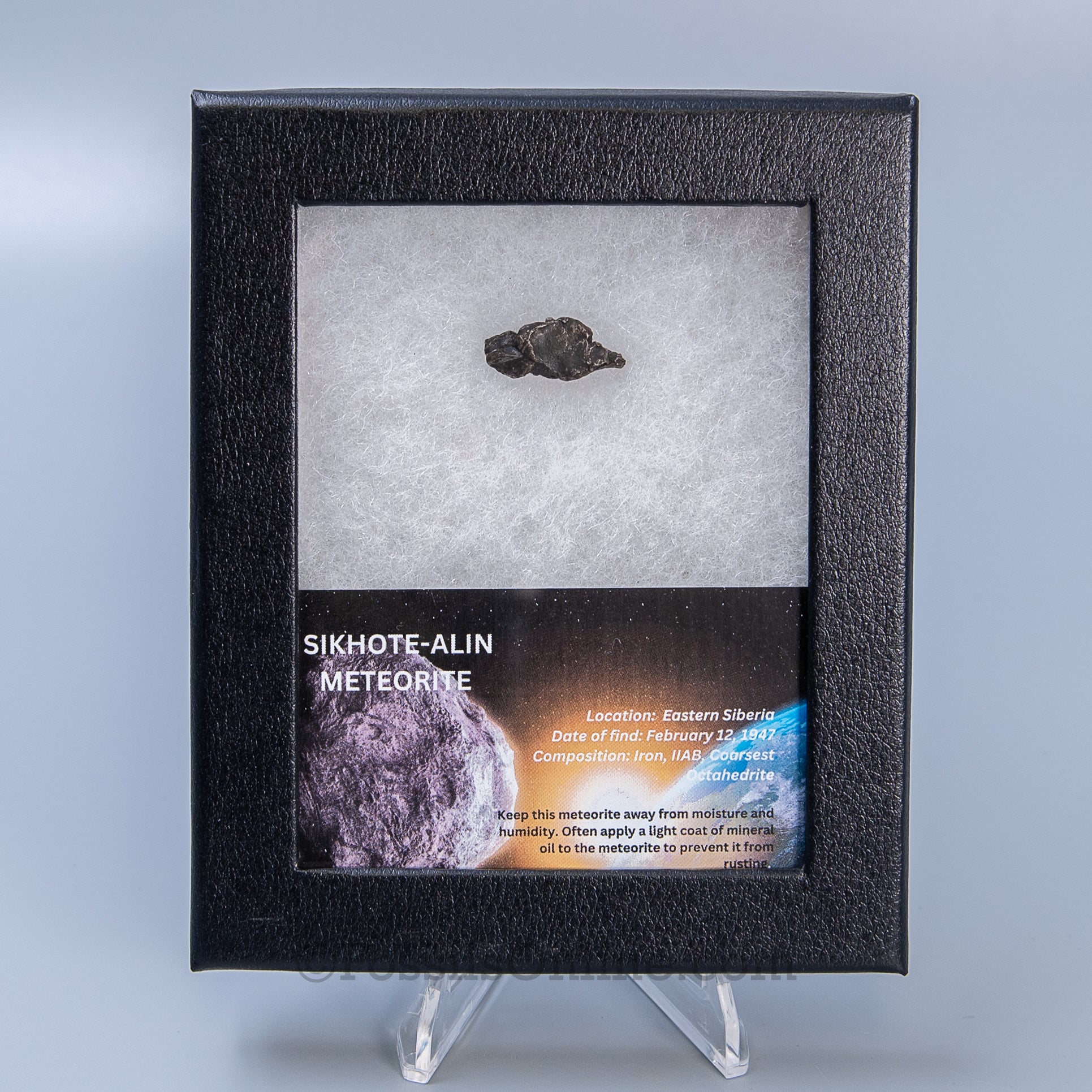 Sikhote-Alin Meteorite in a case