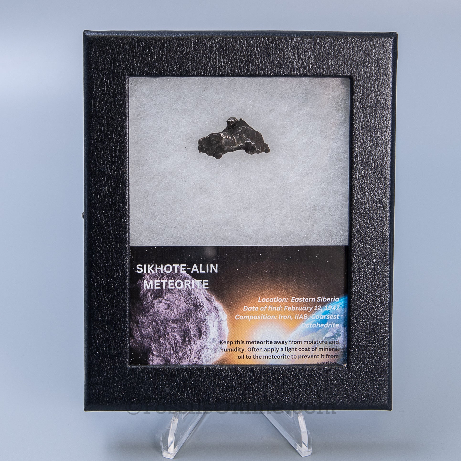 Sikhote-Alin Meteorite in a case