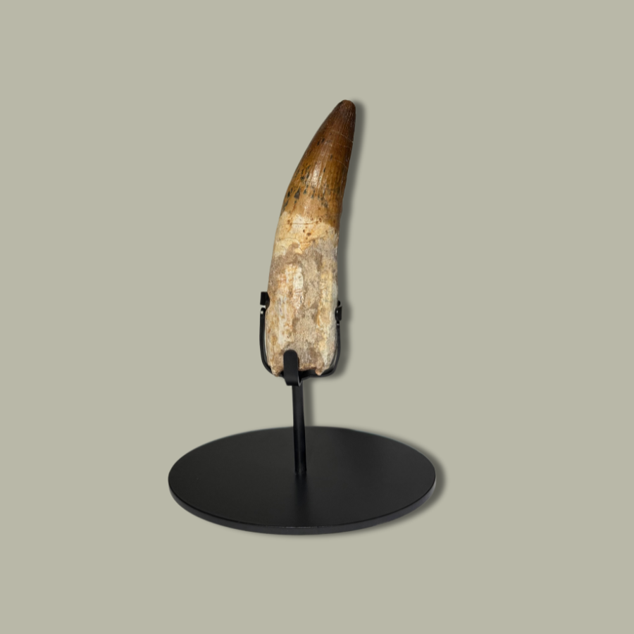 Small Double Cross - Universal Display Stand