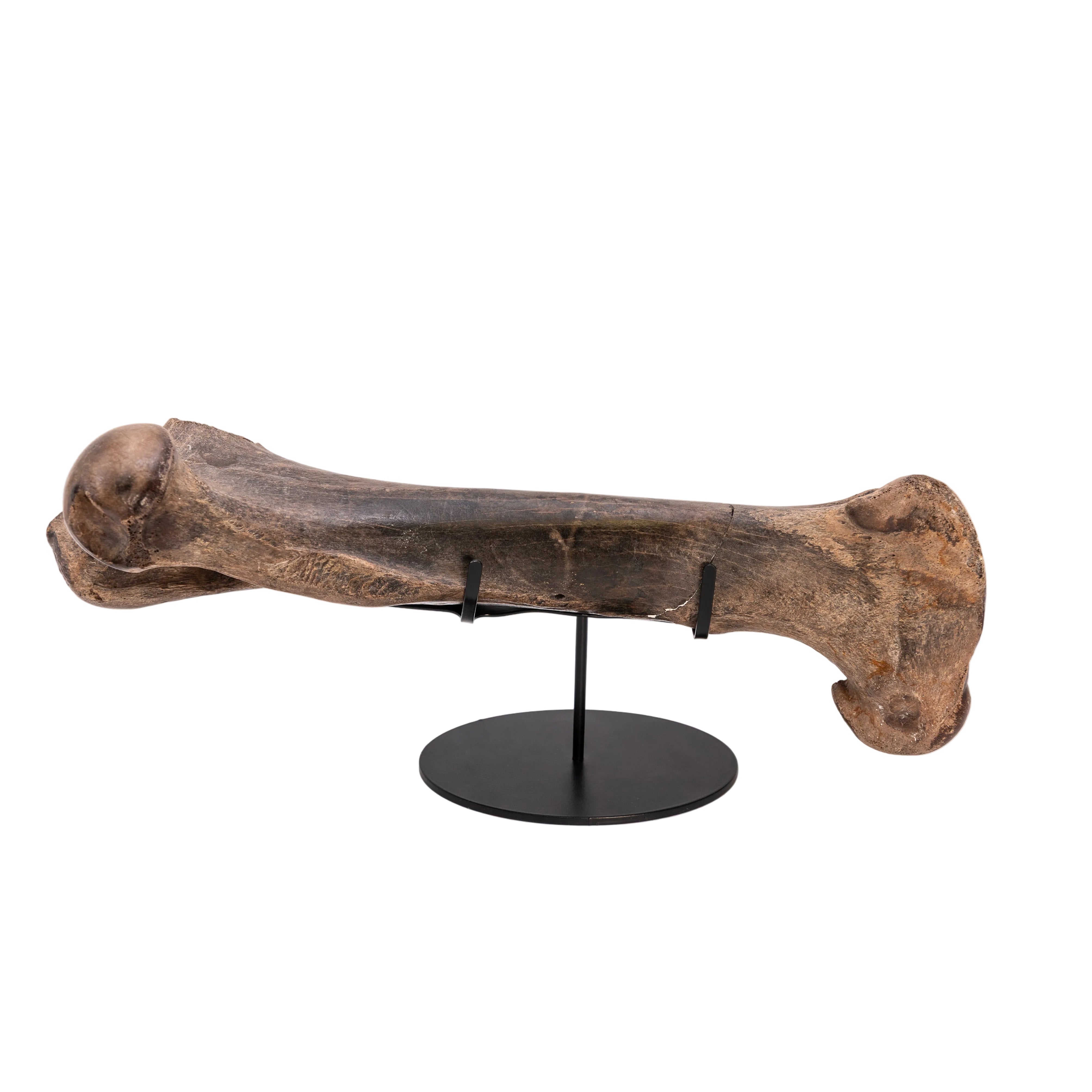 Double Cross - Universal Display Stand