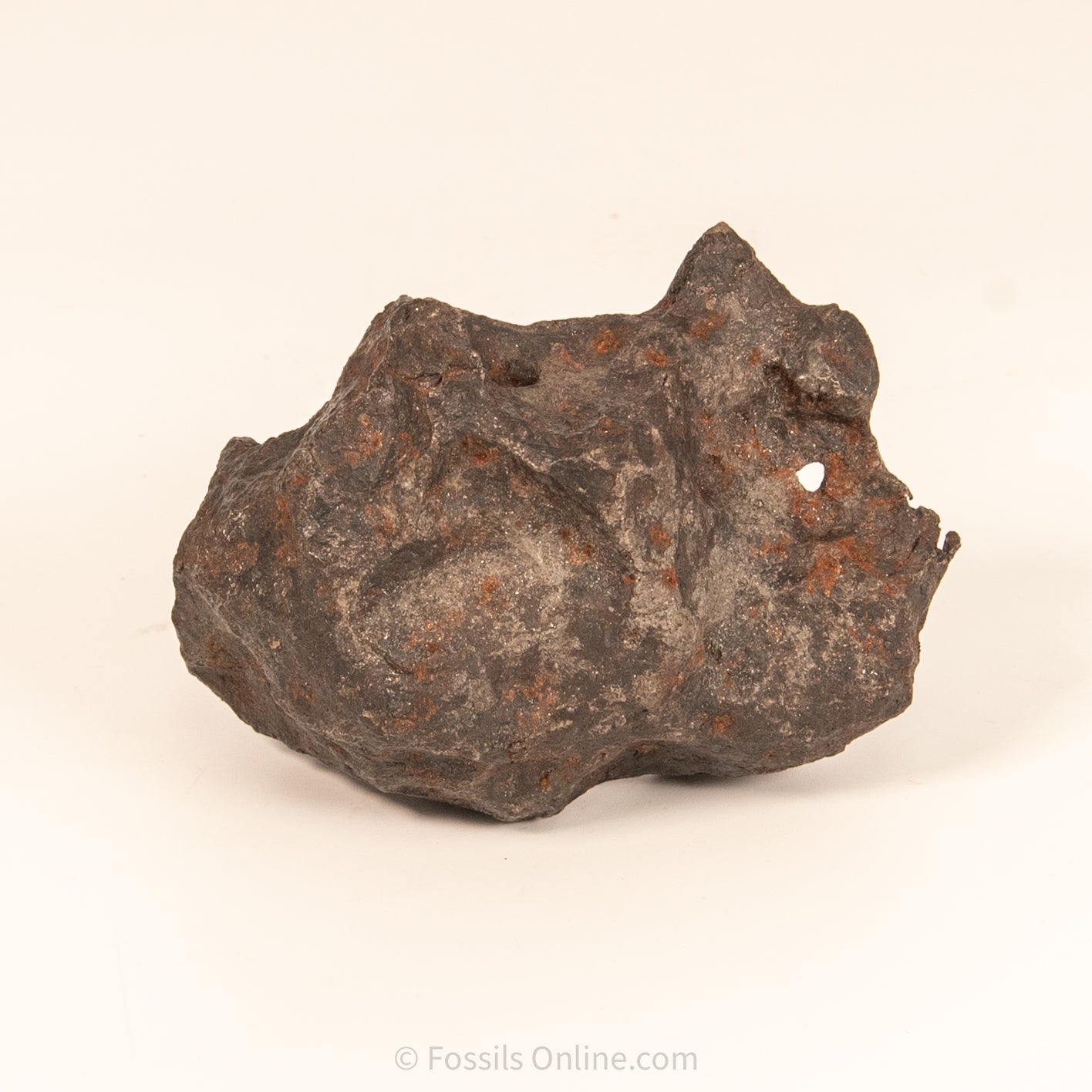 Campo del Cielo Meteorite 1030g