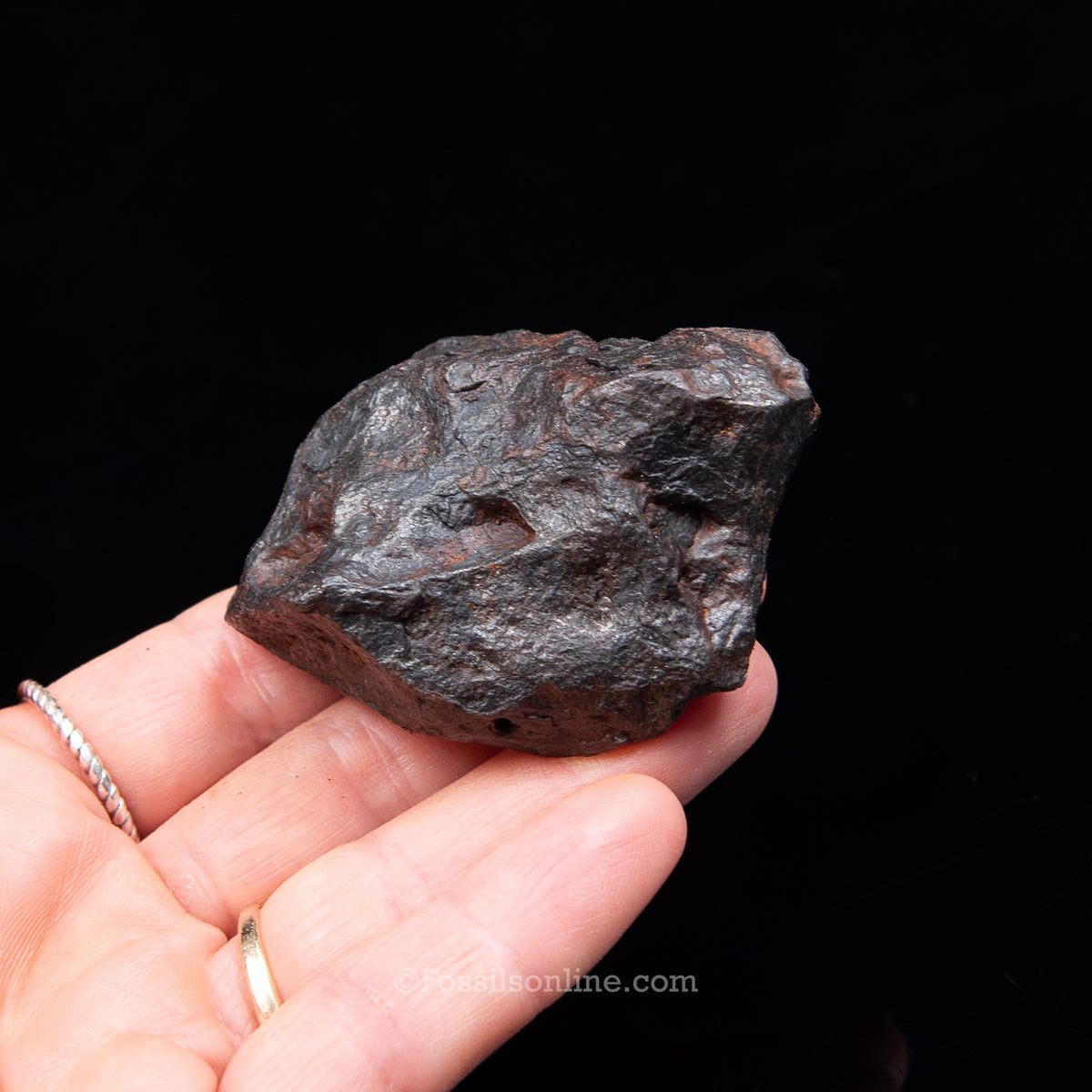 Genuine Campo del Cielo Meteorite 225GR