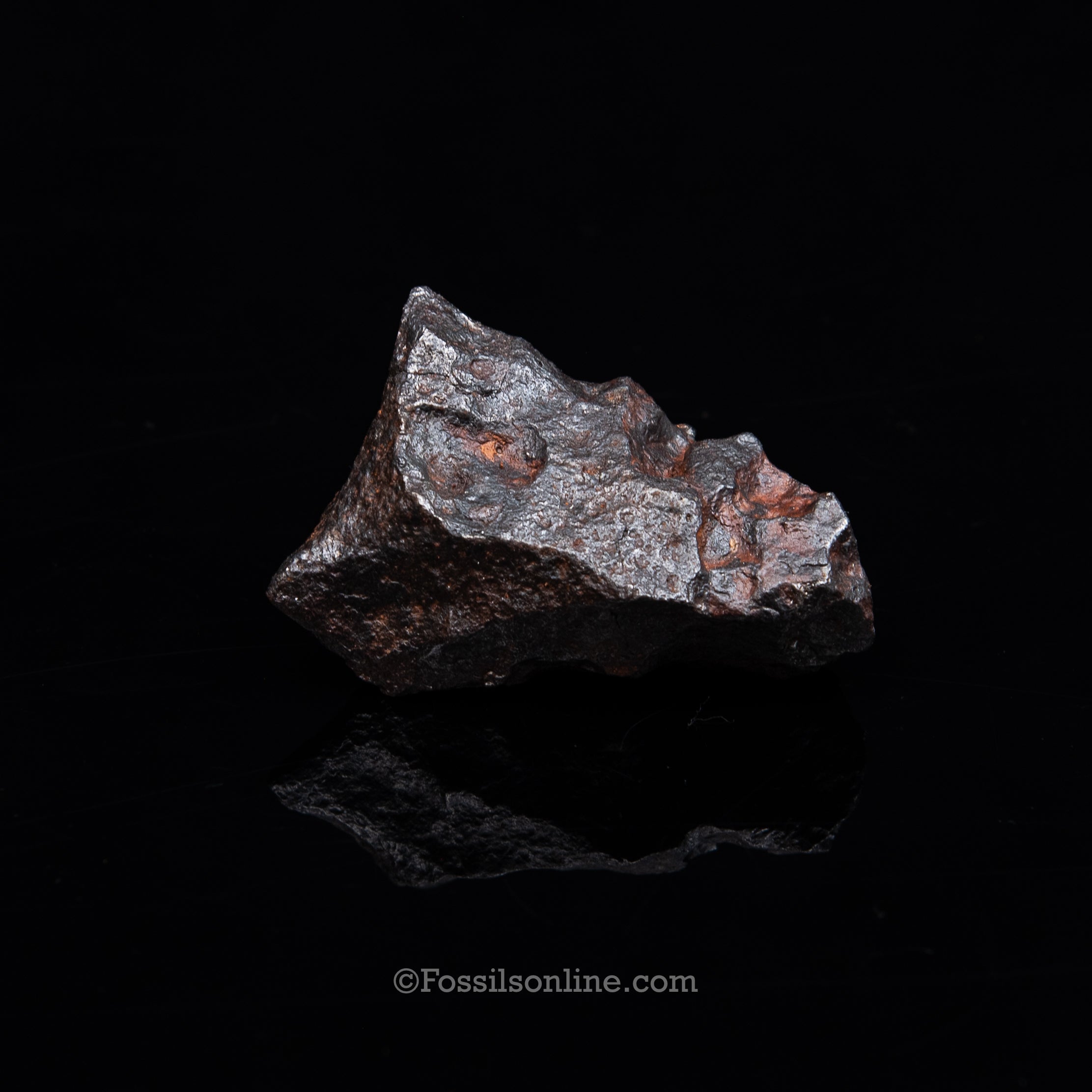 Genuine Campo del Cielo Meteorite 266GR