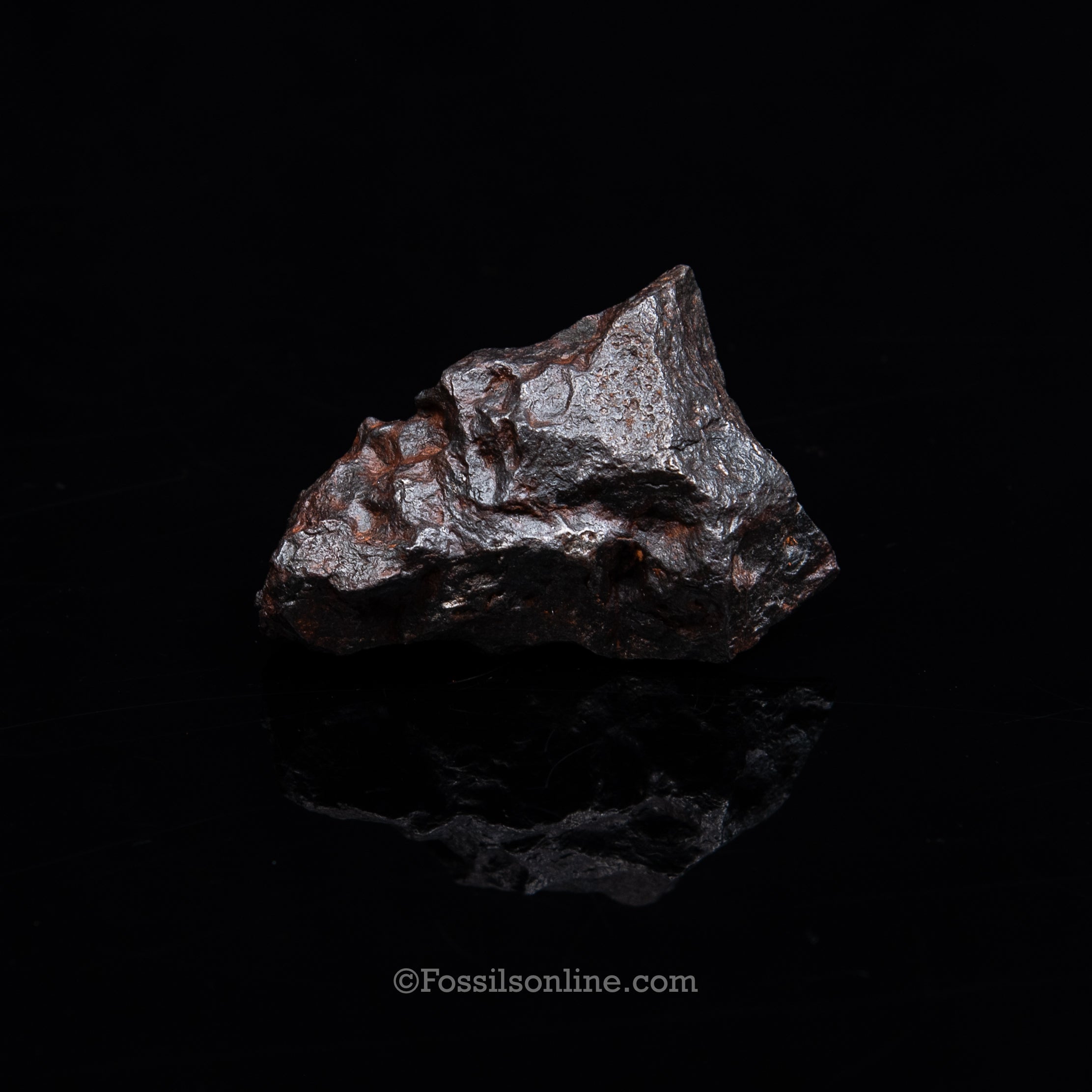 Genuine Campo del Cielo Meteorite 266GR