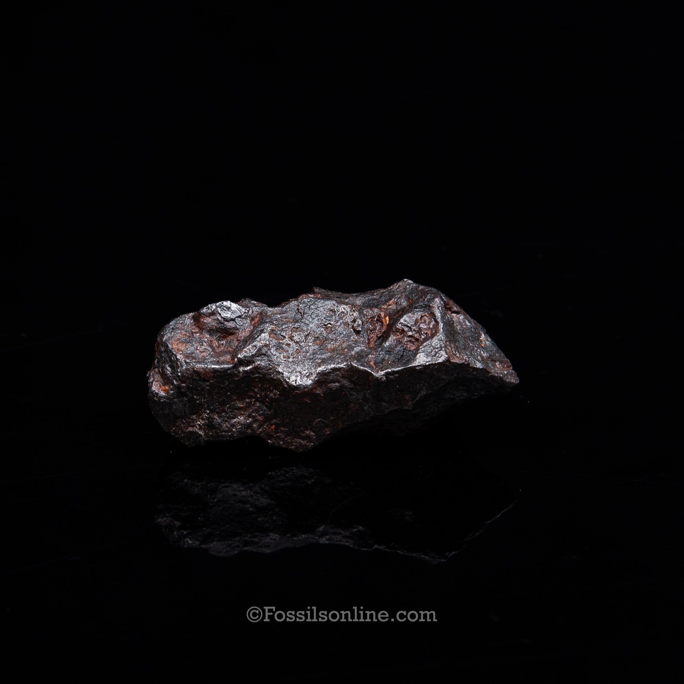 Genuine Campo del Cielo Meteorite 266GR