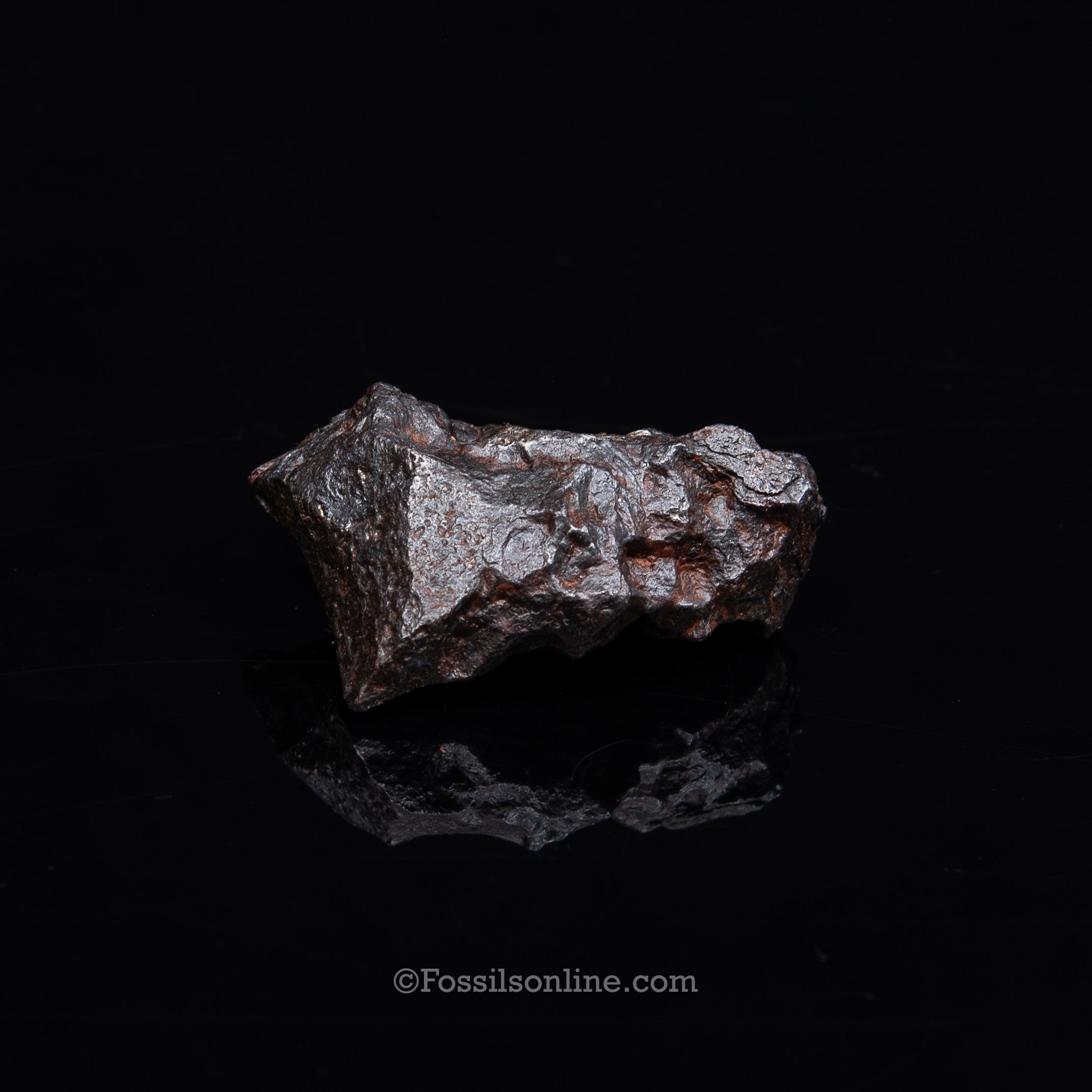 Genuine Campo del Cielo Meteorite 266GR
