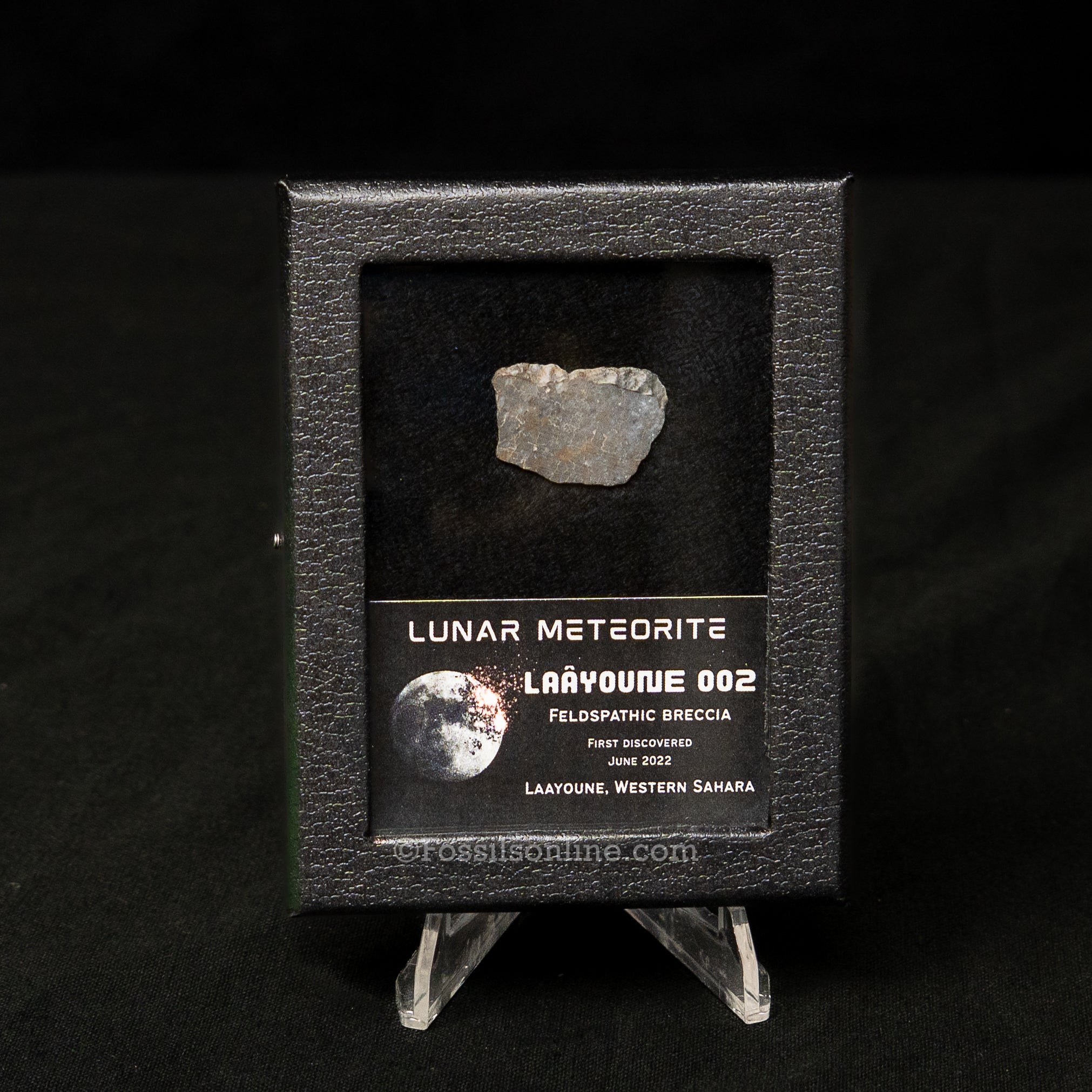 Laâyoune 002 Lunar Meteorite Slice