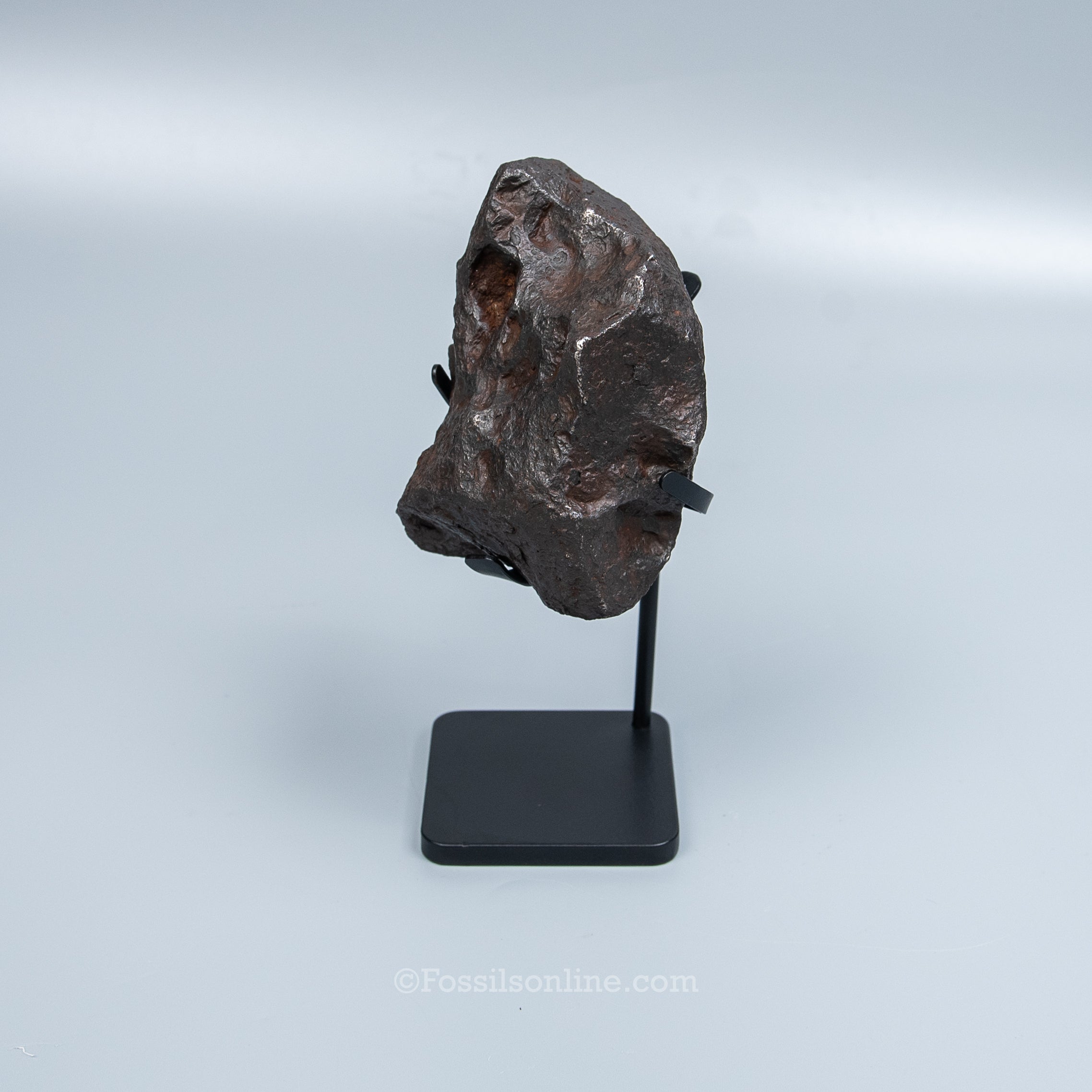 Genuine Campo del Cielo Meteorite 1410GR