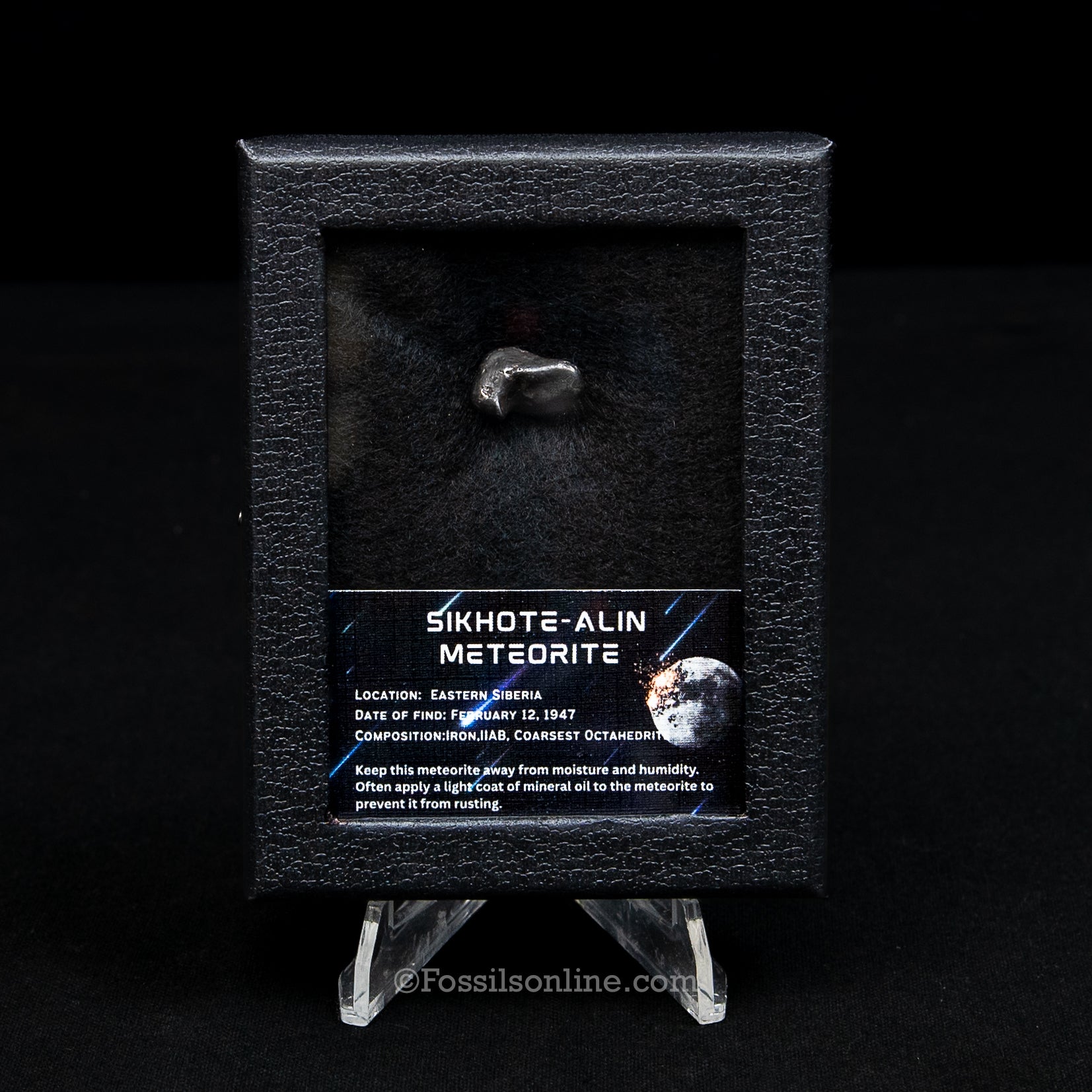 Sikhote-Alin Meteorite in a case