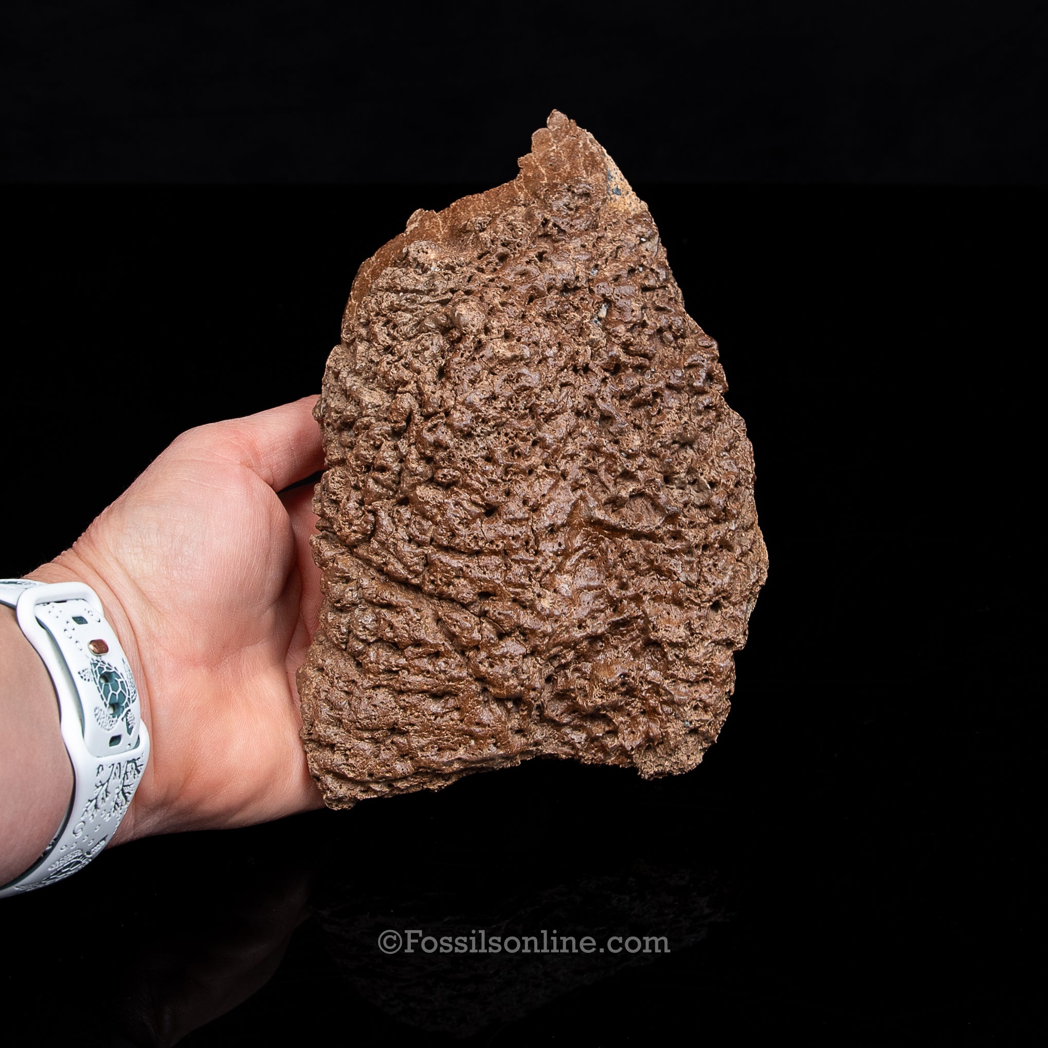 Woolly Rhino Snout