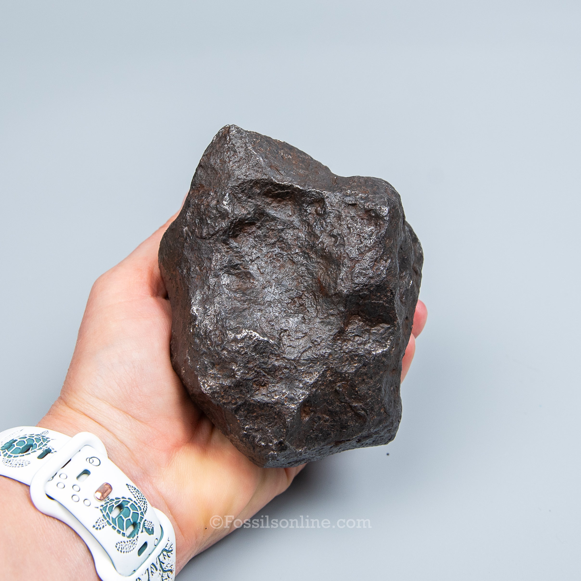 Genuine Campo del Cielo Meteorite 2195GR