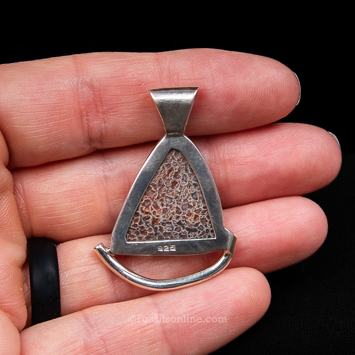Jurassic Dinosaur Bone Silver Pendant .925