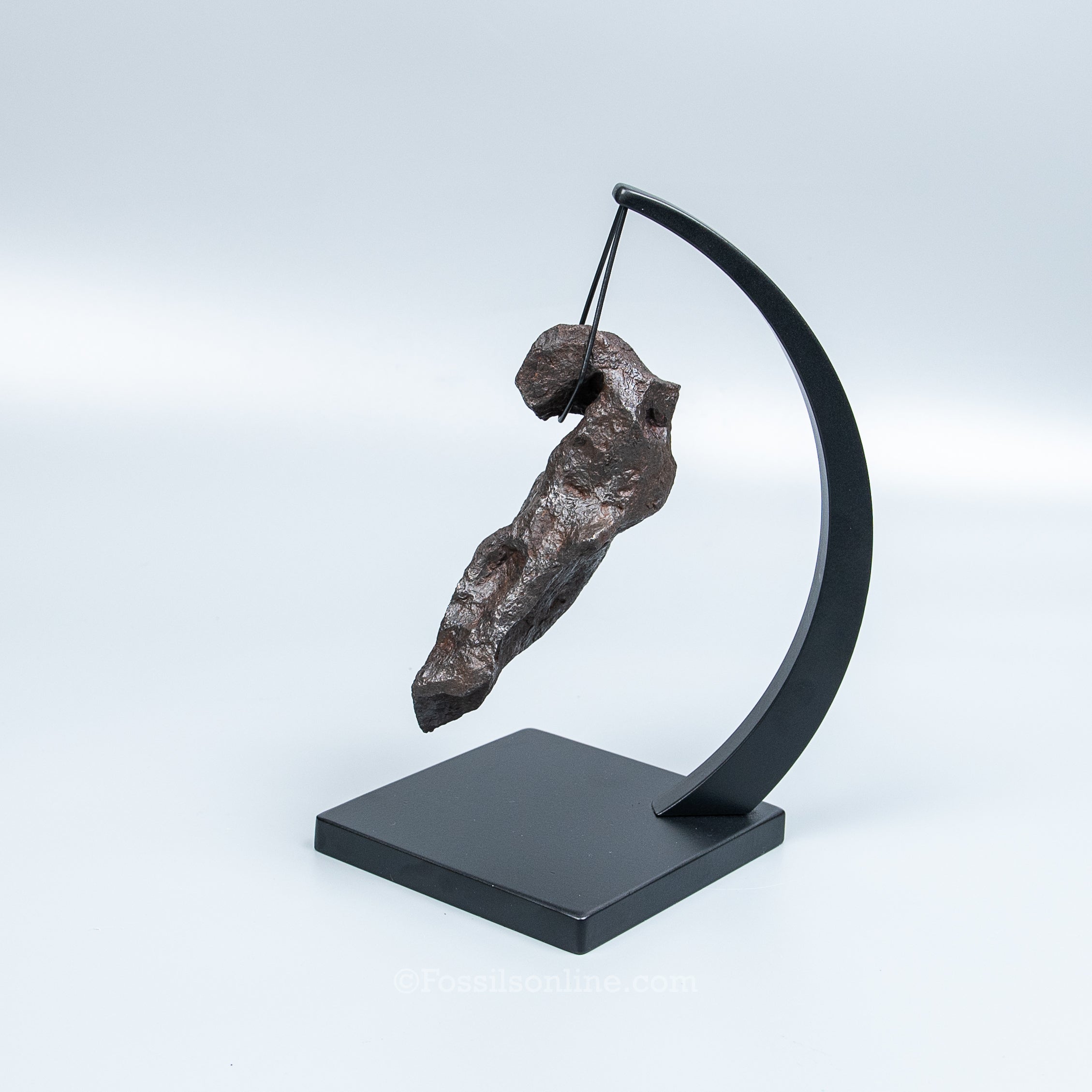 Genuine Campo del Cielo Meteorite 1125GR