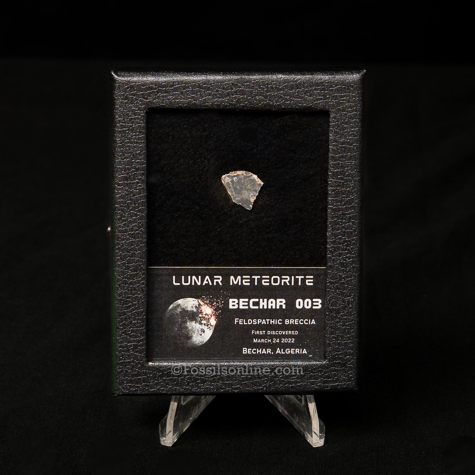 Bechar 003 Lunar Meteorite Slice