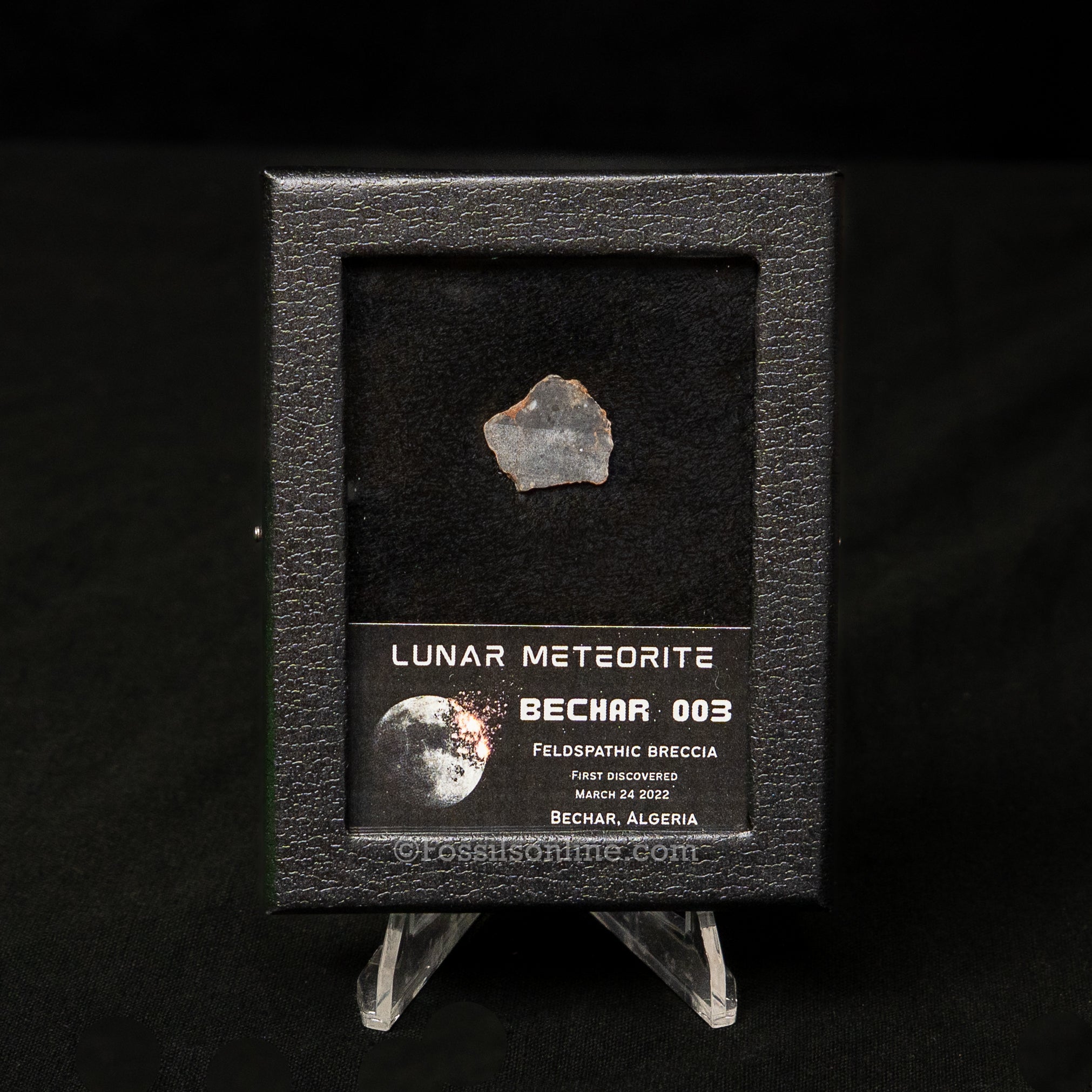 Bechar 003 Lunar Meteorite Slice