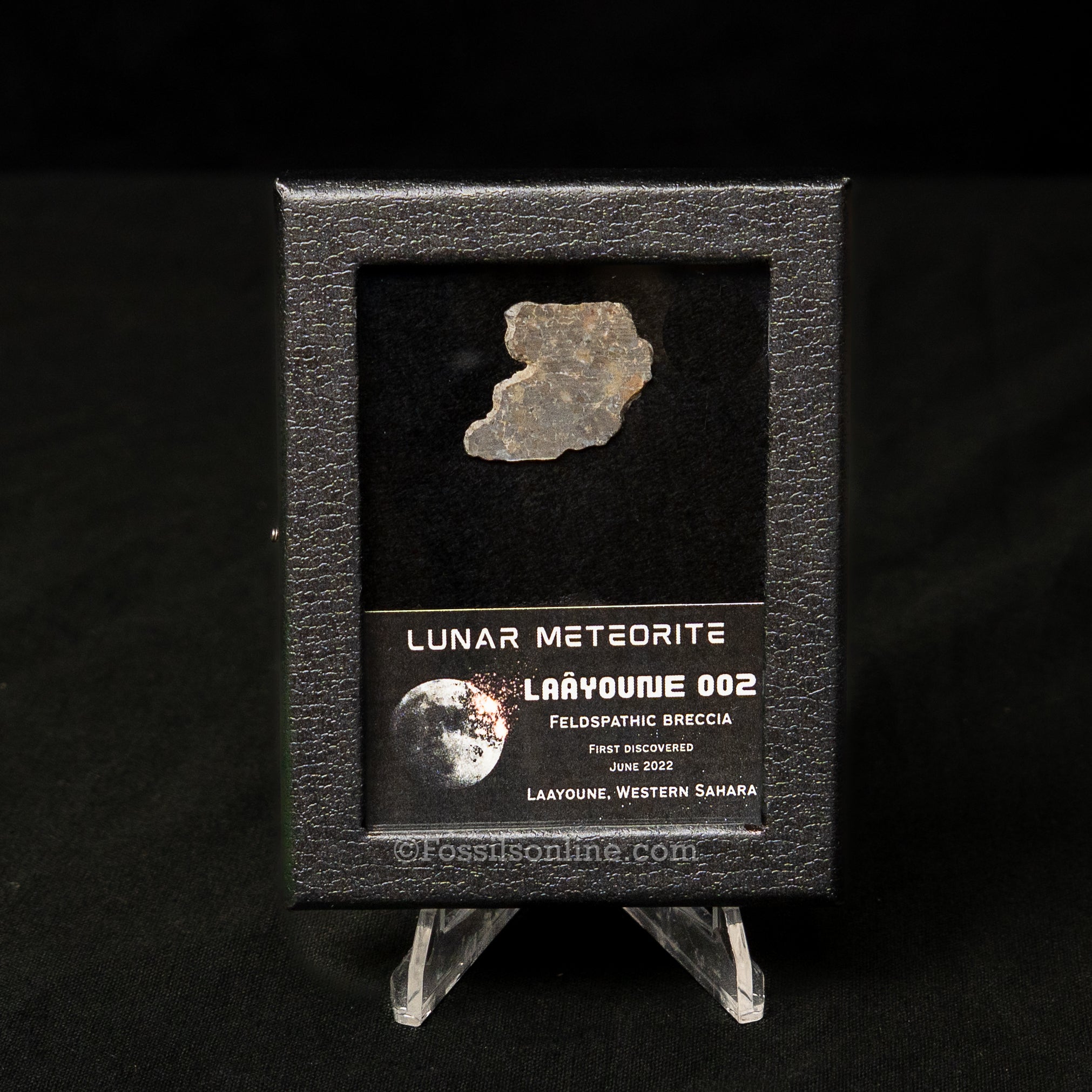 Laâyoune 002 Lunar Meteorite Slice