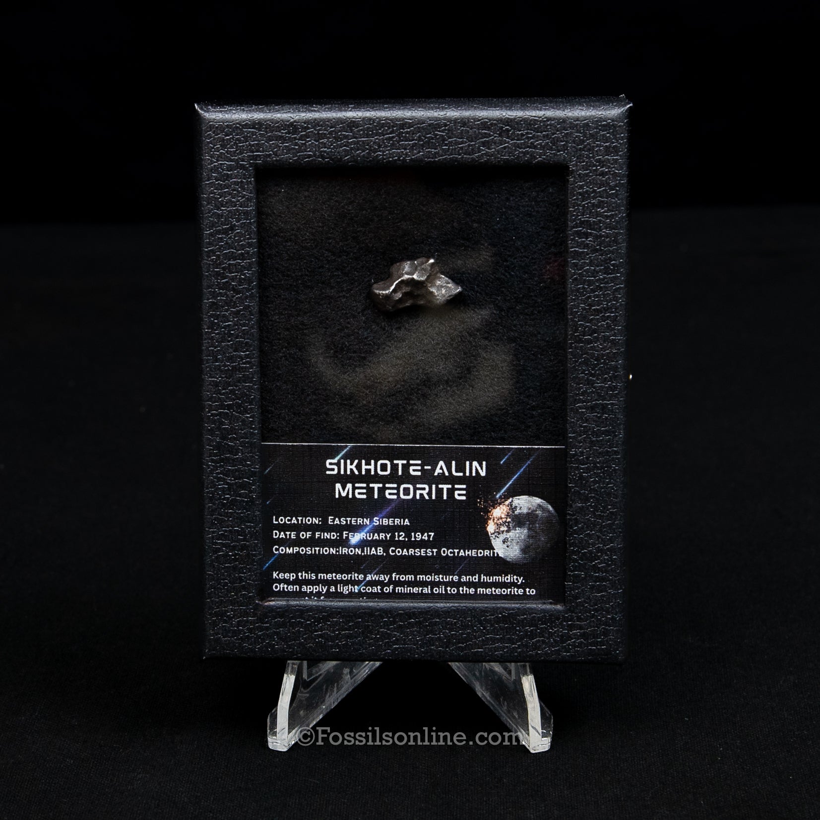 Sikhote-Alin Meteorite in a case