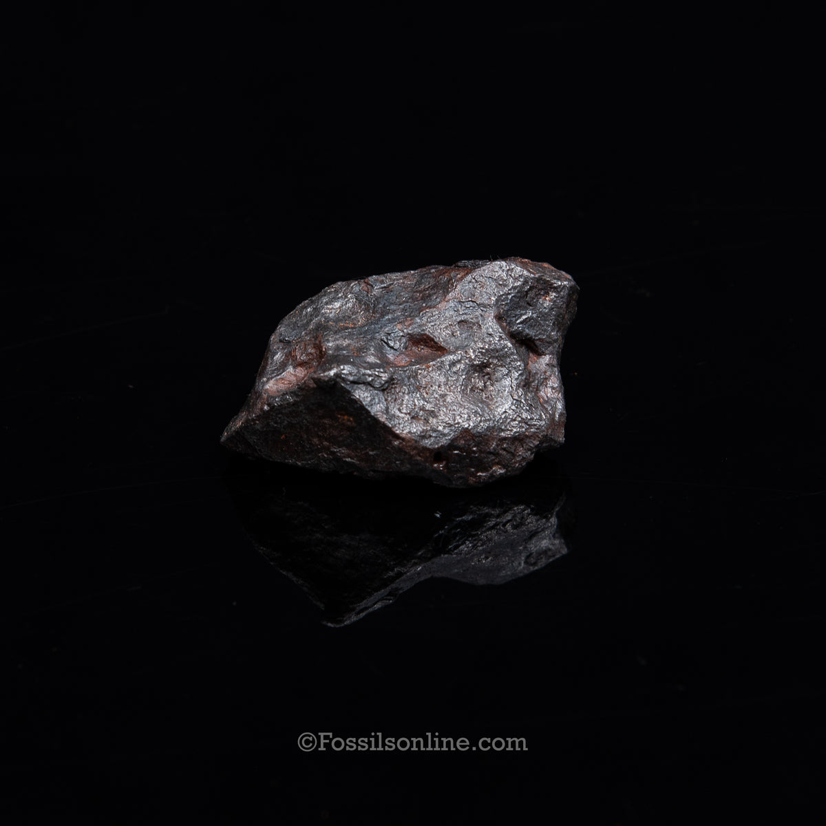 Genuine Campo del Cielo Meteorite 225GR