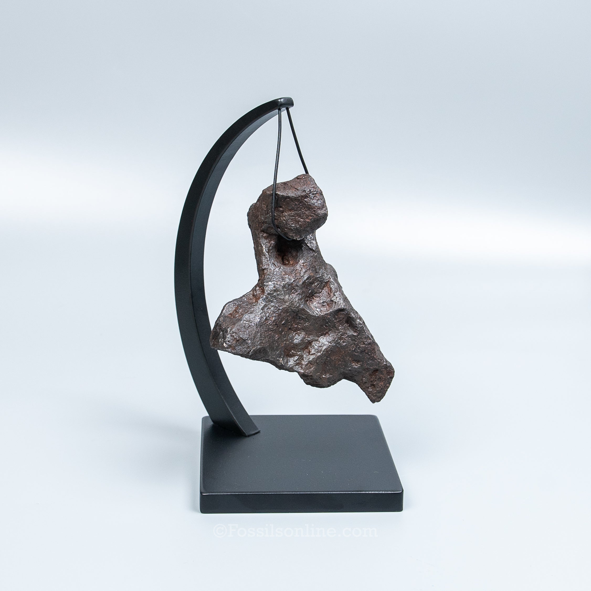 Genuine Campo del Cielo Meteorite 1125GR