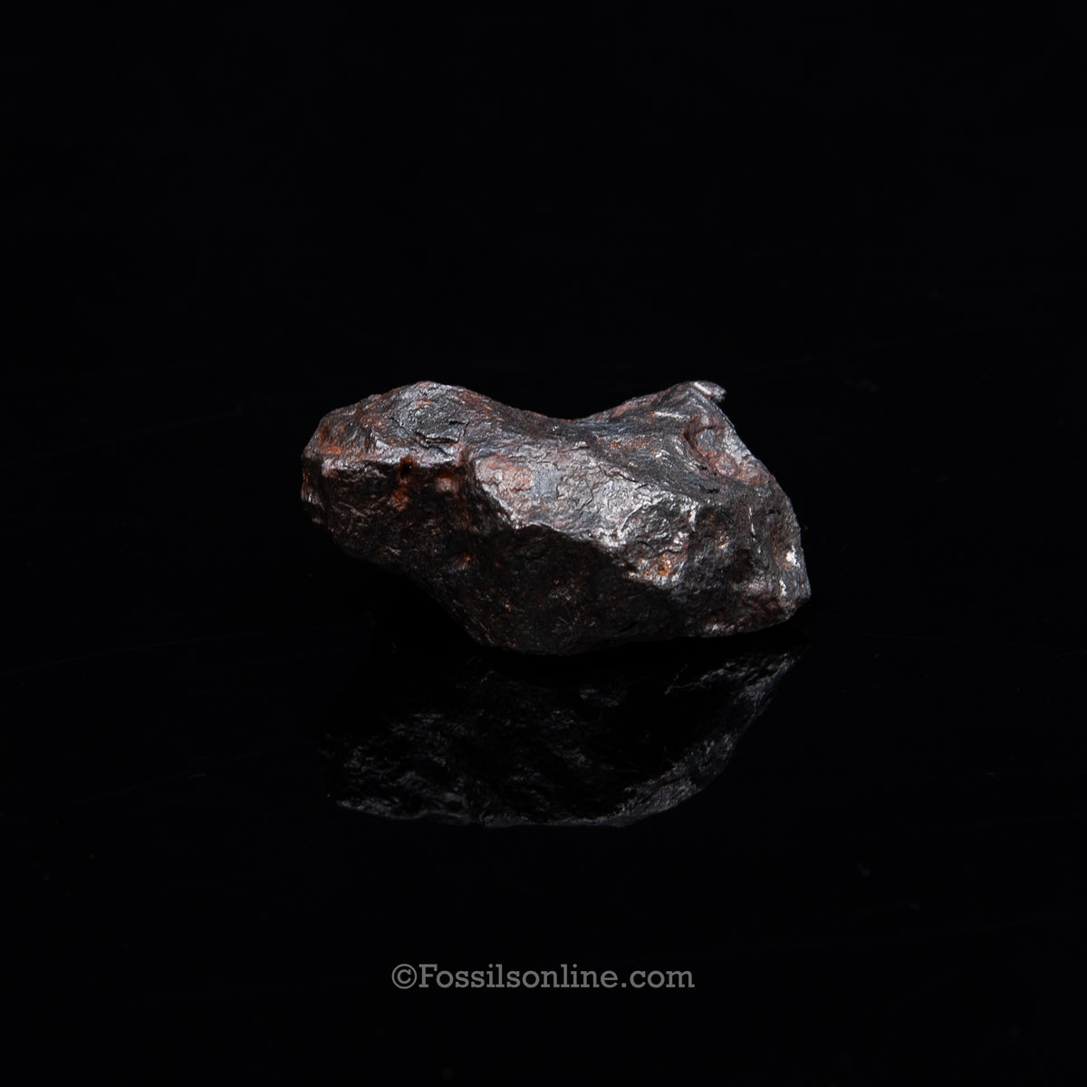 Genuine Campo del Cielo Meteorite 225GR