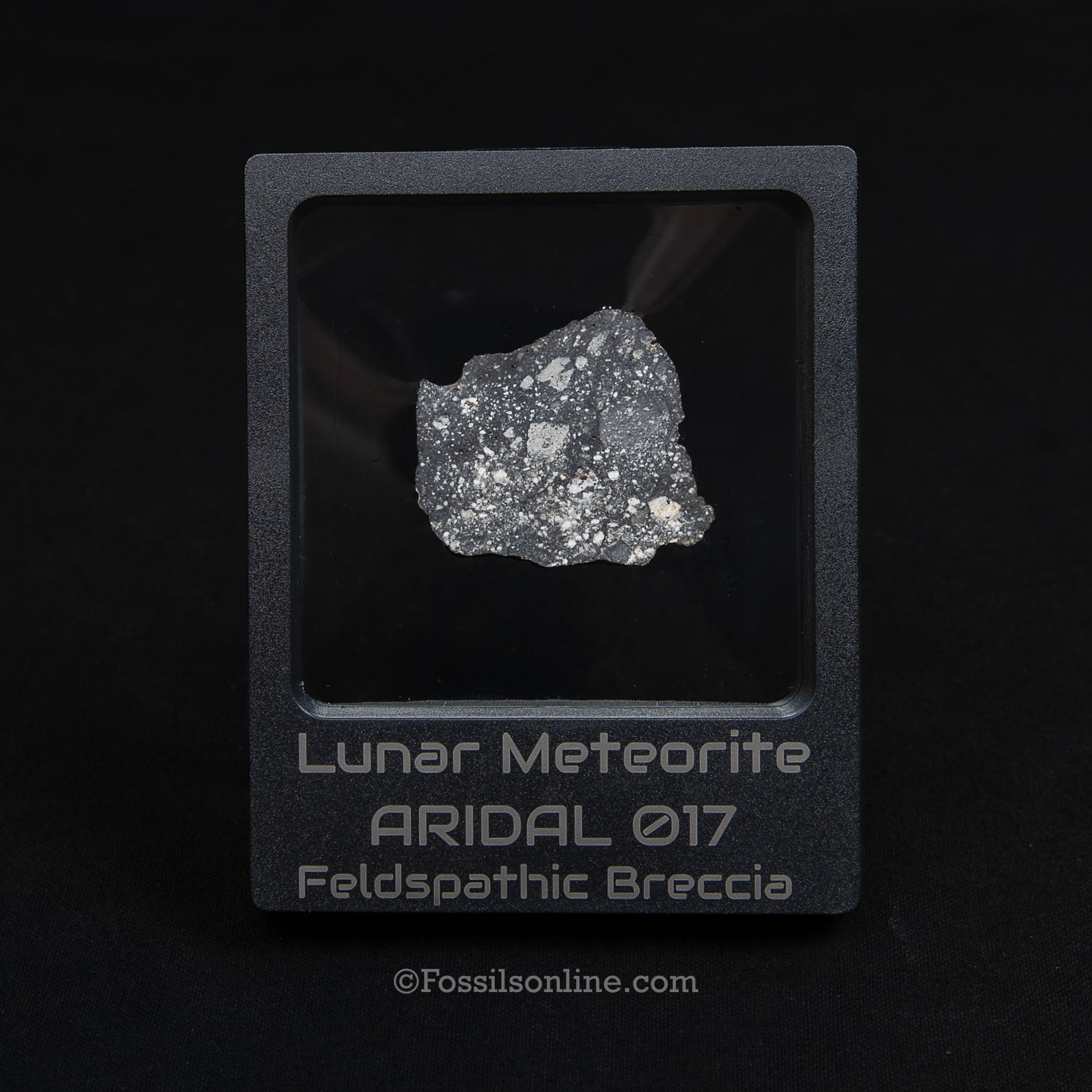 Aridal 017 Lunar Meteorite Slice 5.69GR