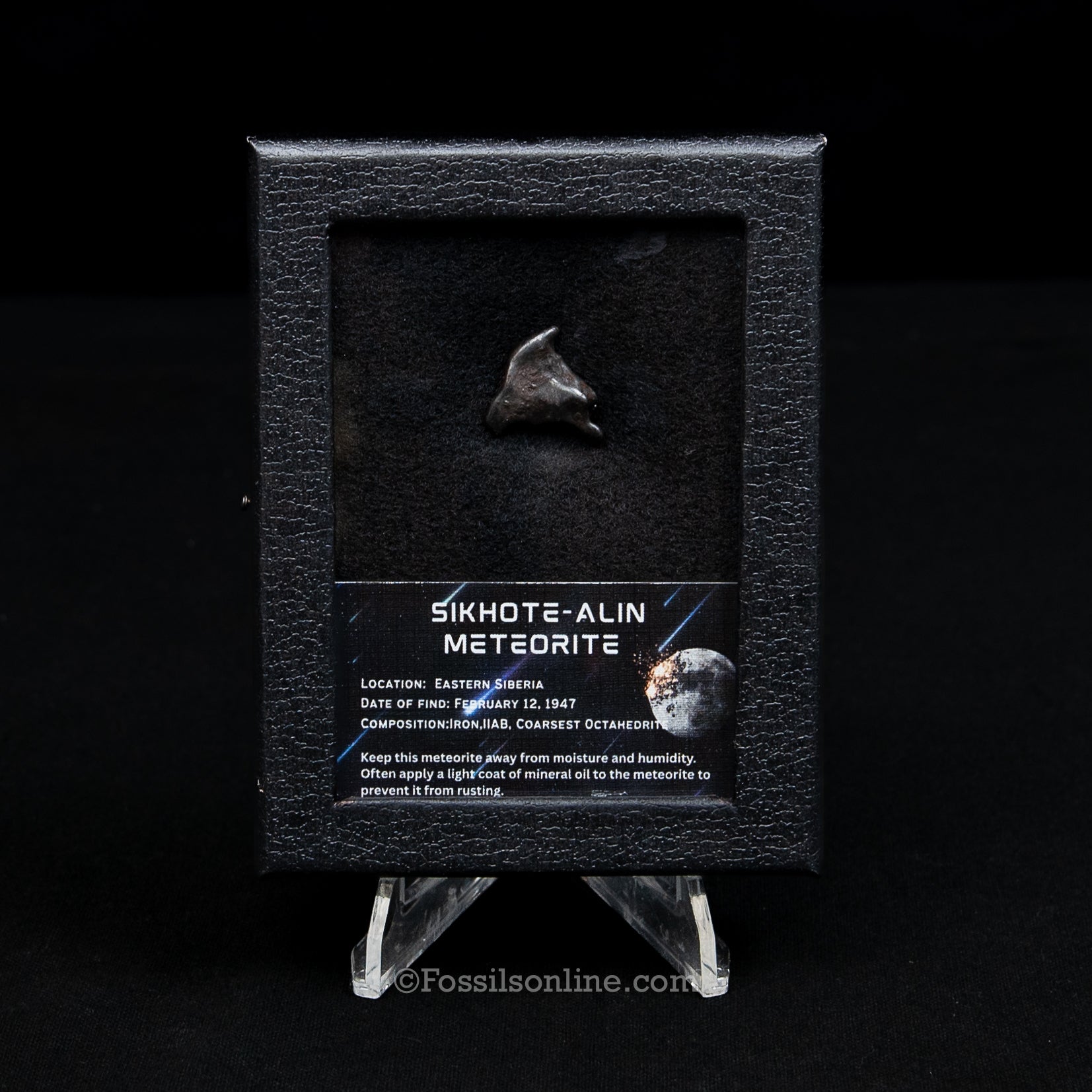 Sikhote-Alin Meteorite in a case